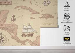 Light Pink Map mockup 5