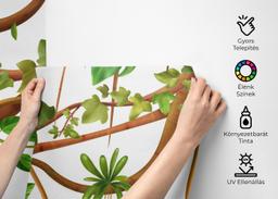 Realistic Liana Art mockup 2