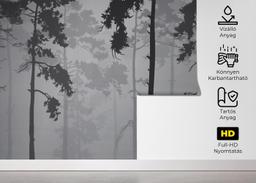 Grey Foggy Forest mockup 5