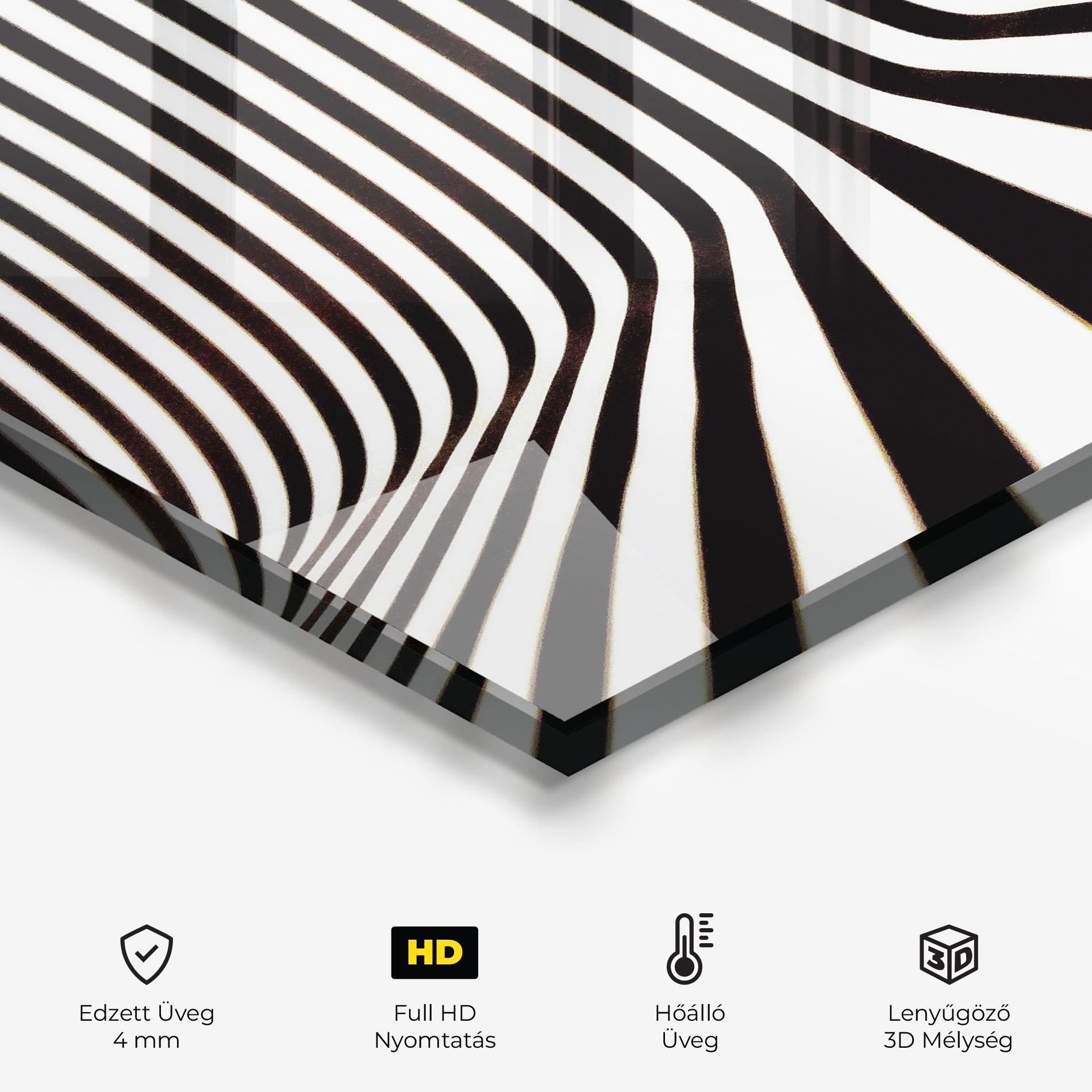 Konyhai üveg hátfal Black And White Illusion mockup 2