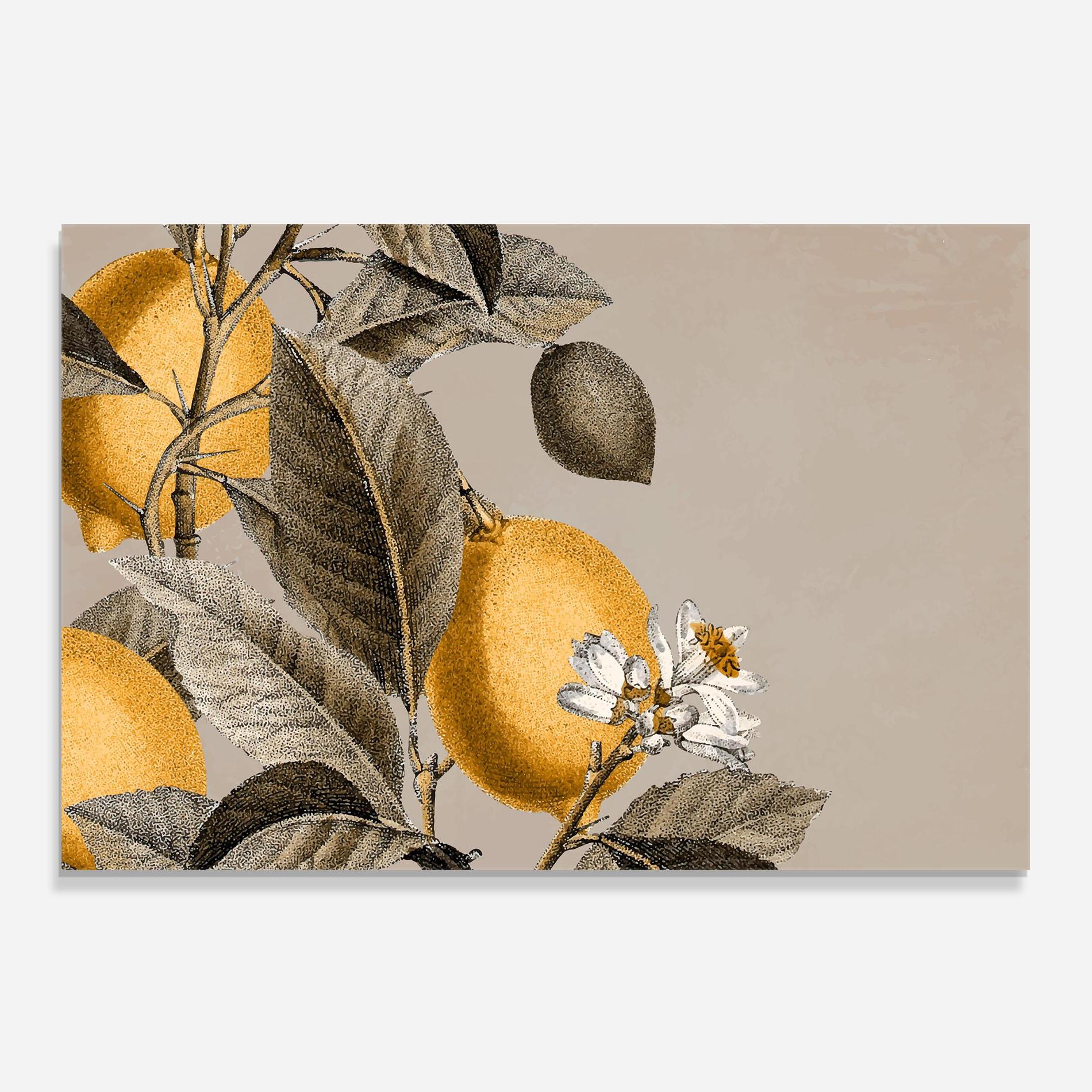 Konyhai üveg hátfal Lime Tree mockup 0