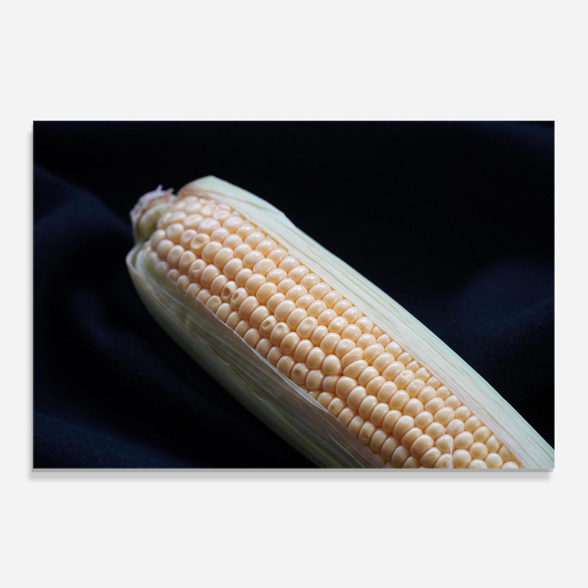 Konyhai üveg hátfal Maize mockup 0