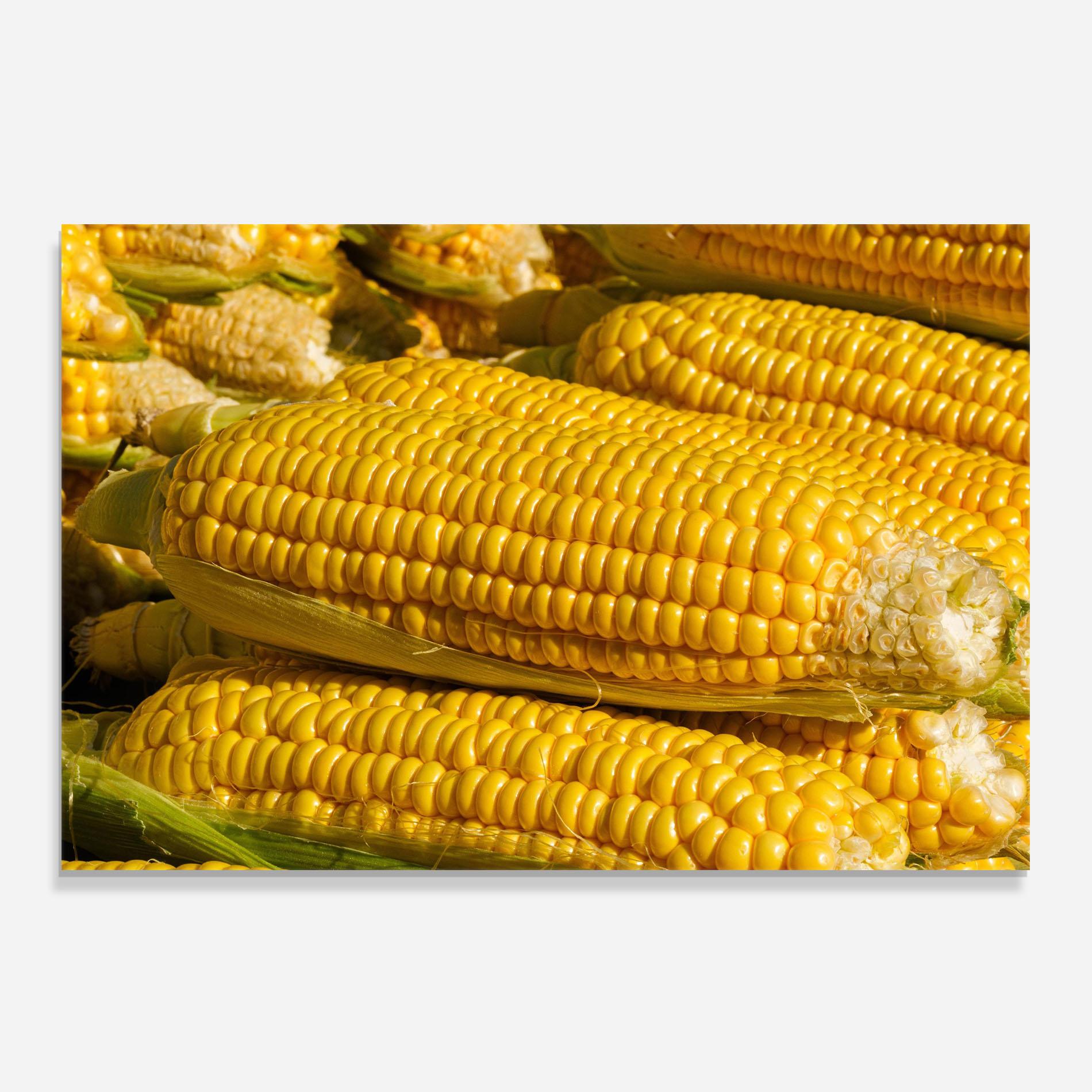 Konyhai üveg hátfal Strong Yellow Corn mockup 0