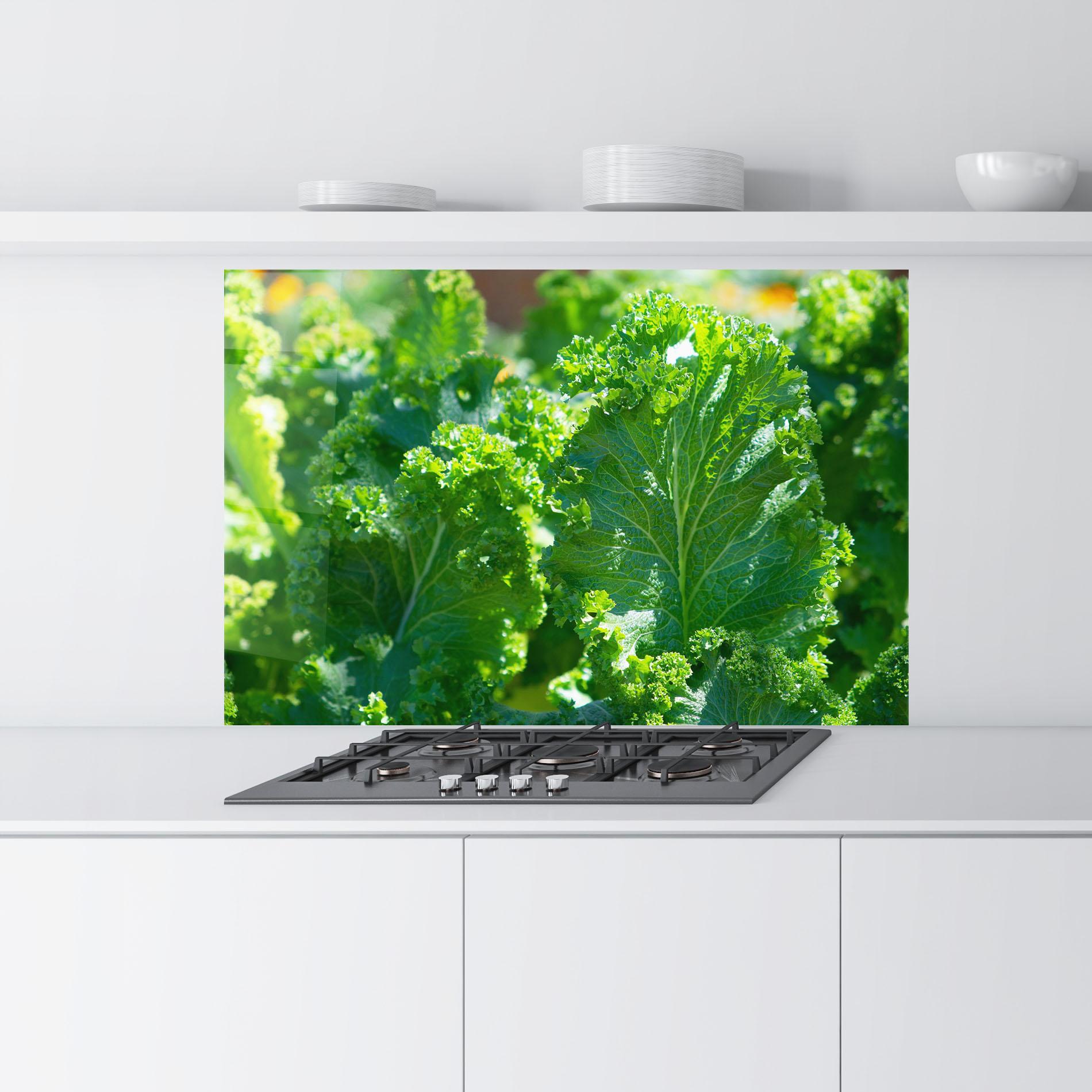 Konyhai üveg hátfal Lettuce View mockup 9