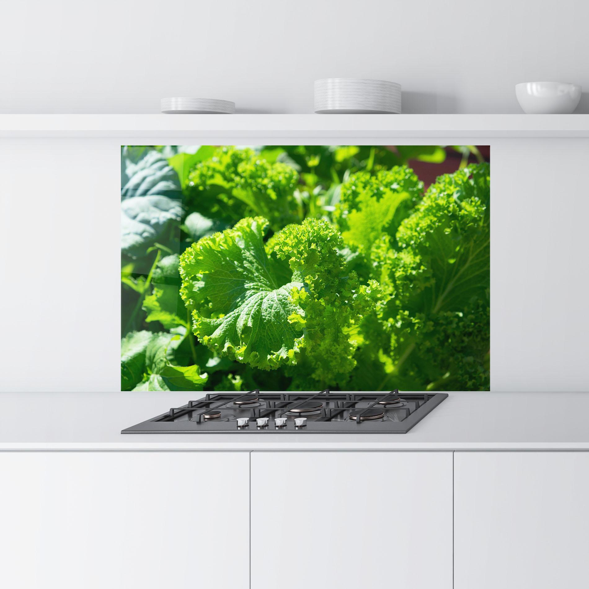 Konyhai üveg hátfal Preetty Green Lettuce mockup 9