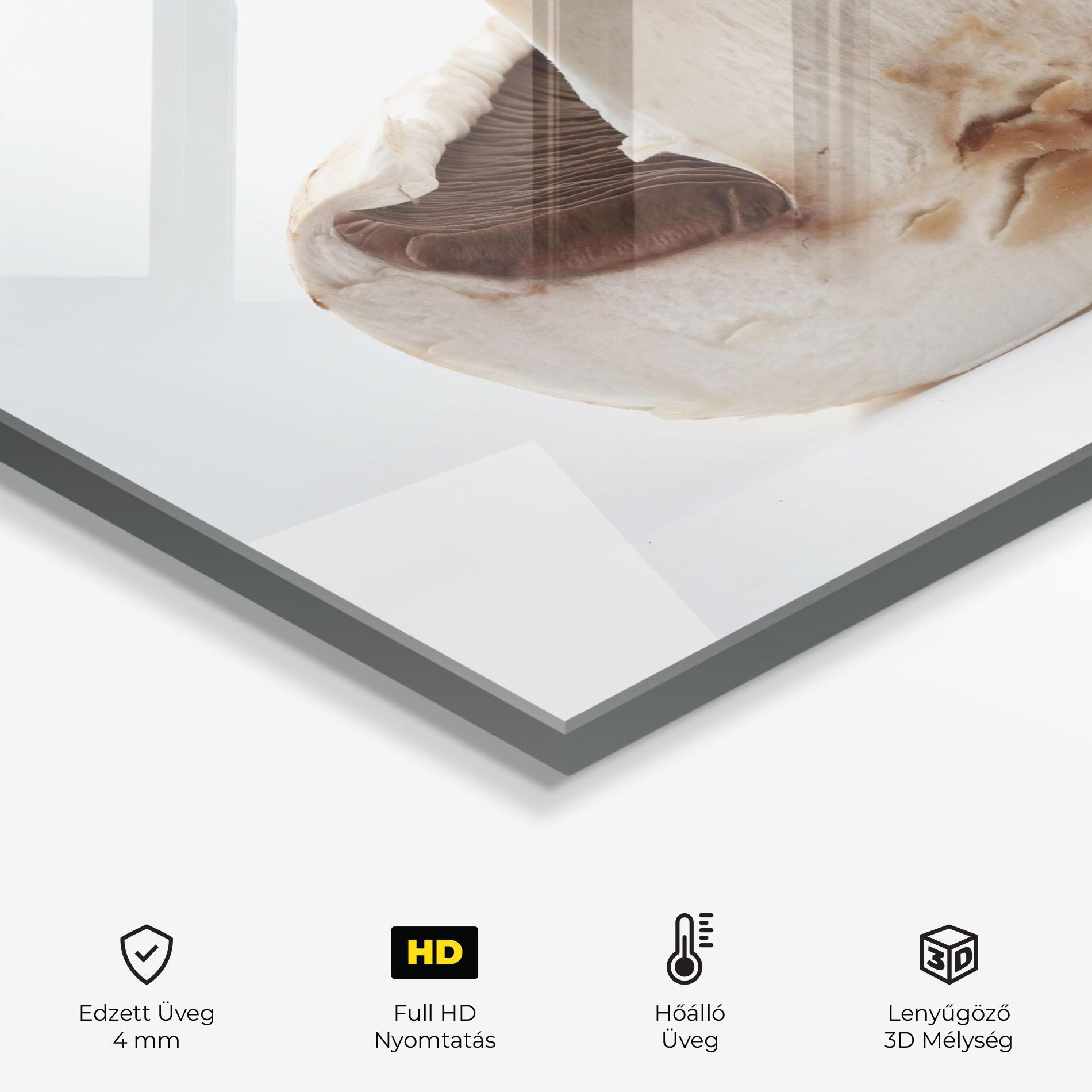 Konyhai üveg hátfal Cut Mushroom mockup 2