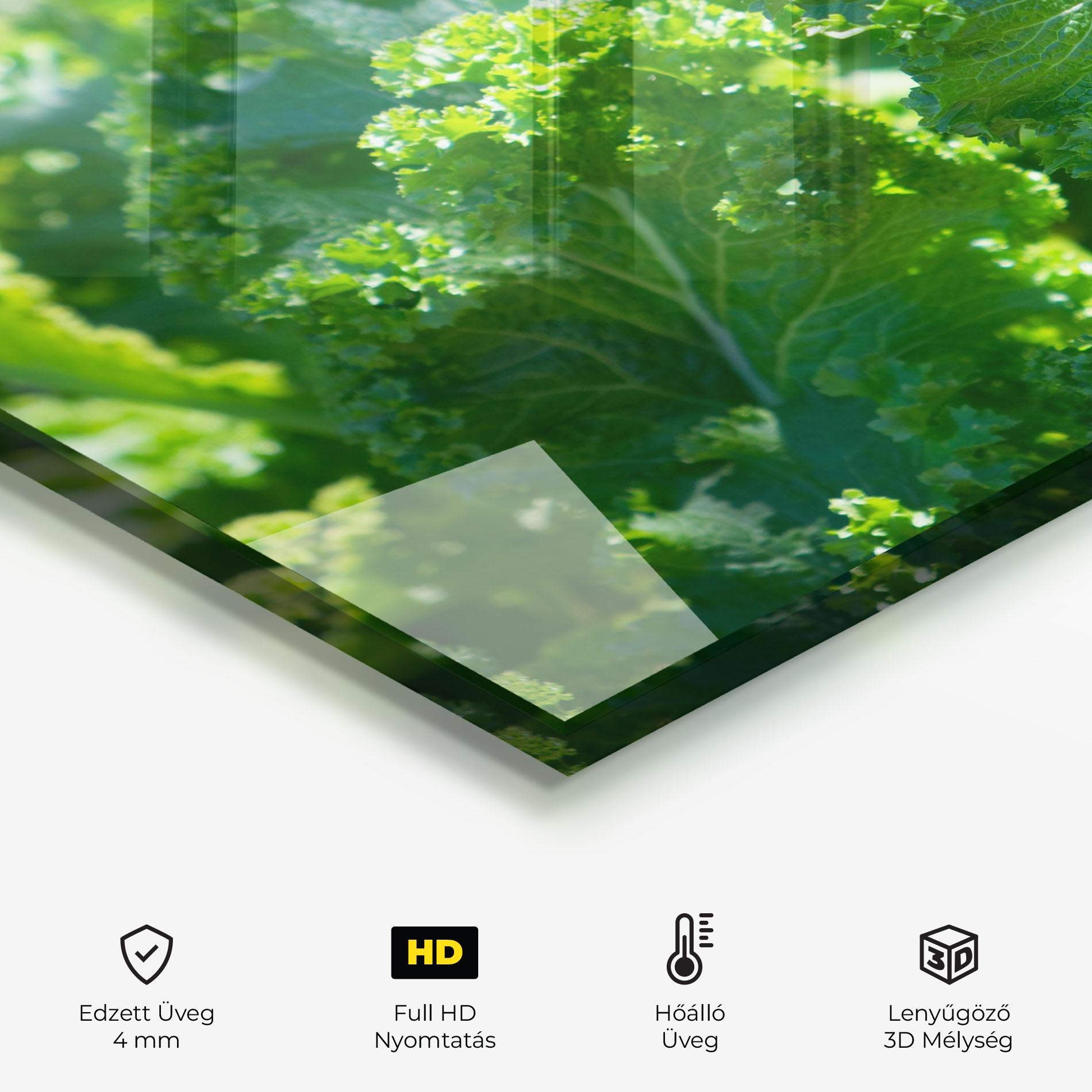 Konyhai üveg hátfal Lettuce View mockup 2