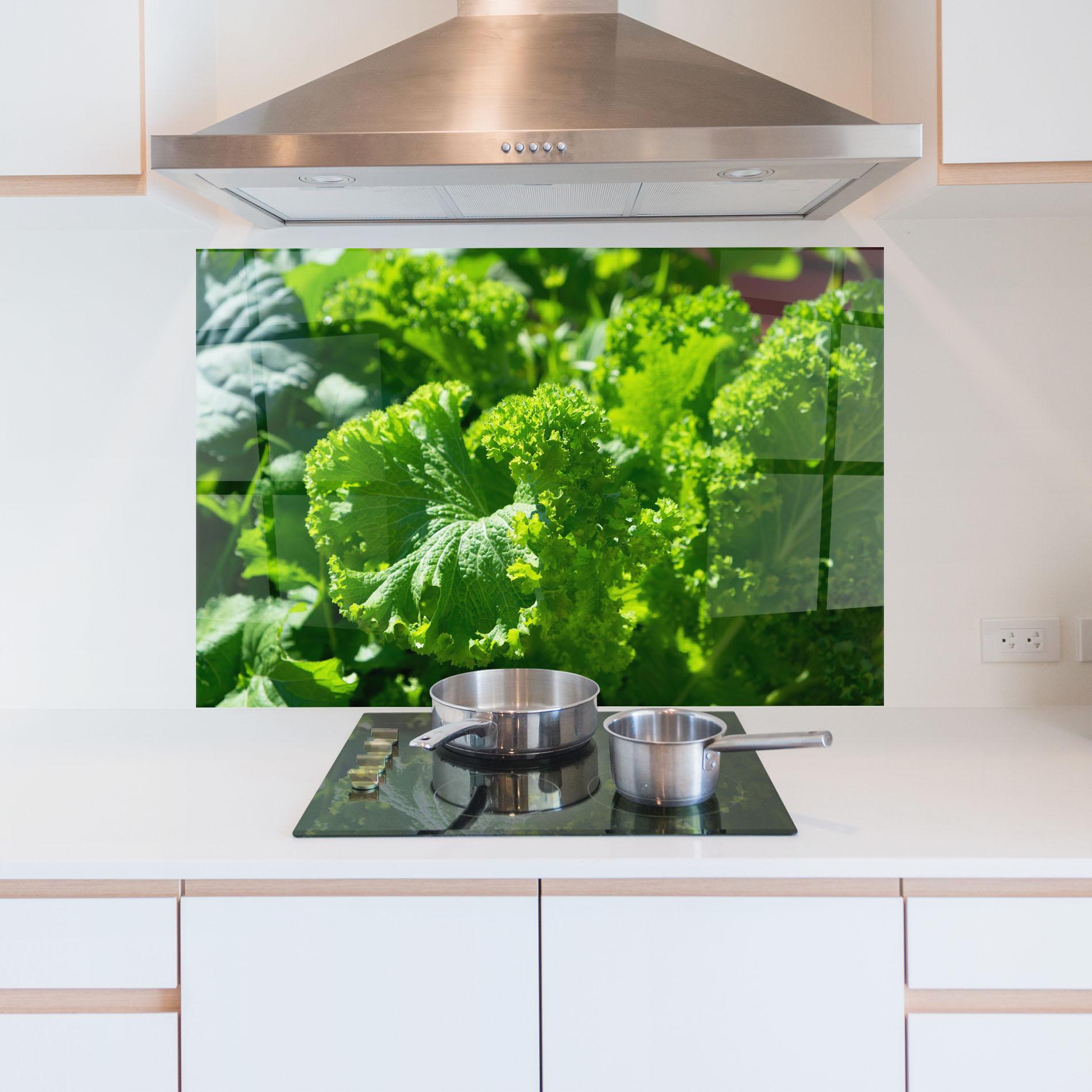 Konyhai üveg hátfal Preetty Green Lettuce mockup 5