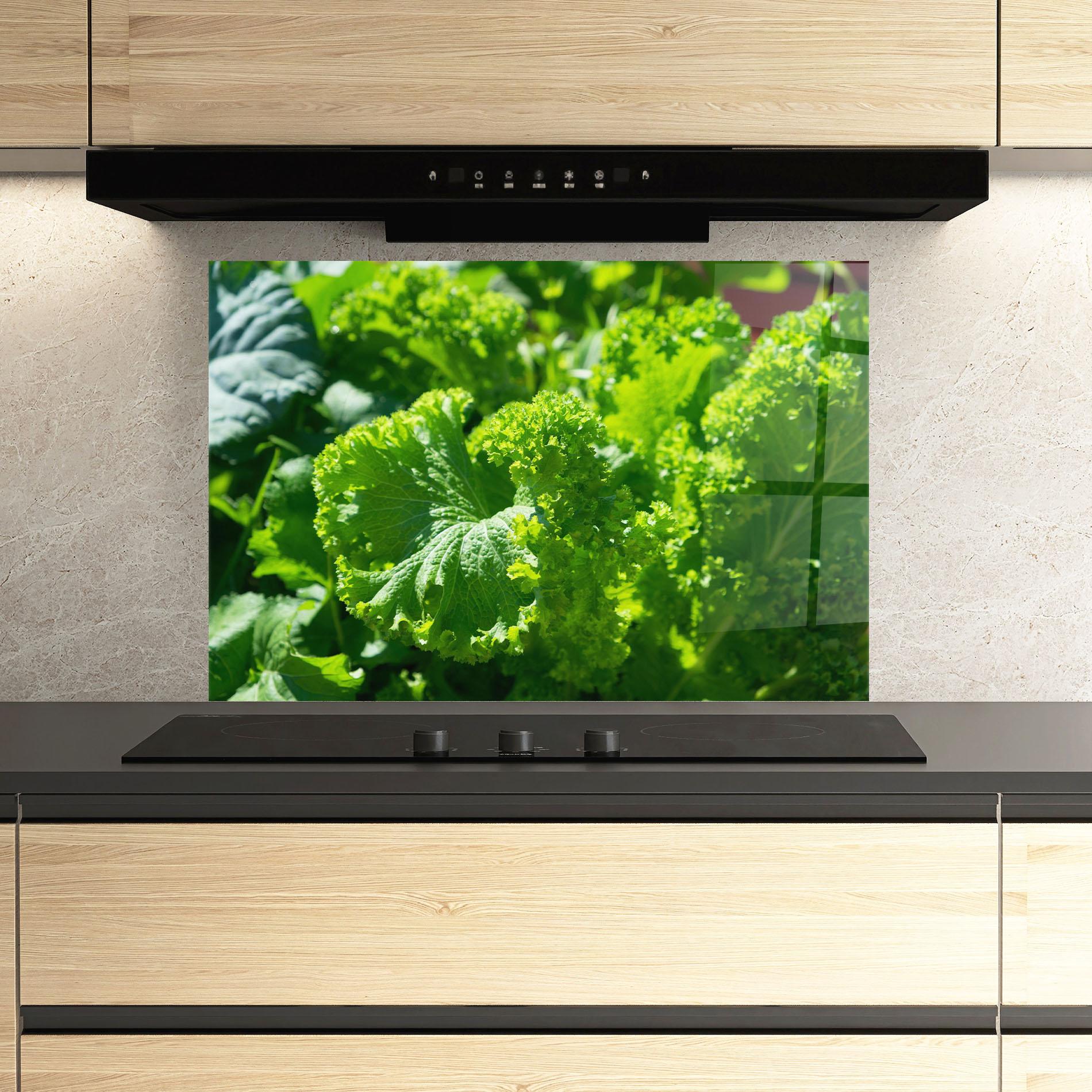 Konyhai üveg hátfal Preetty Green Lettuce mockup 3