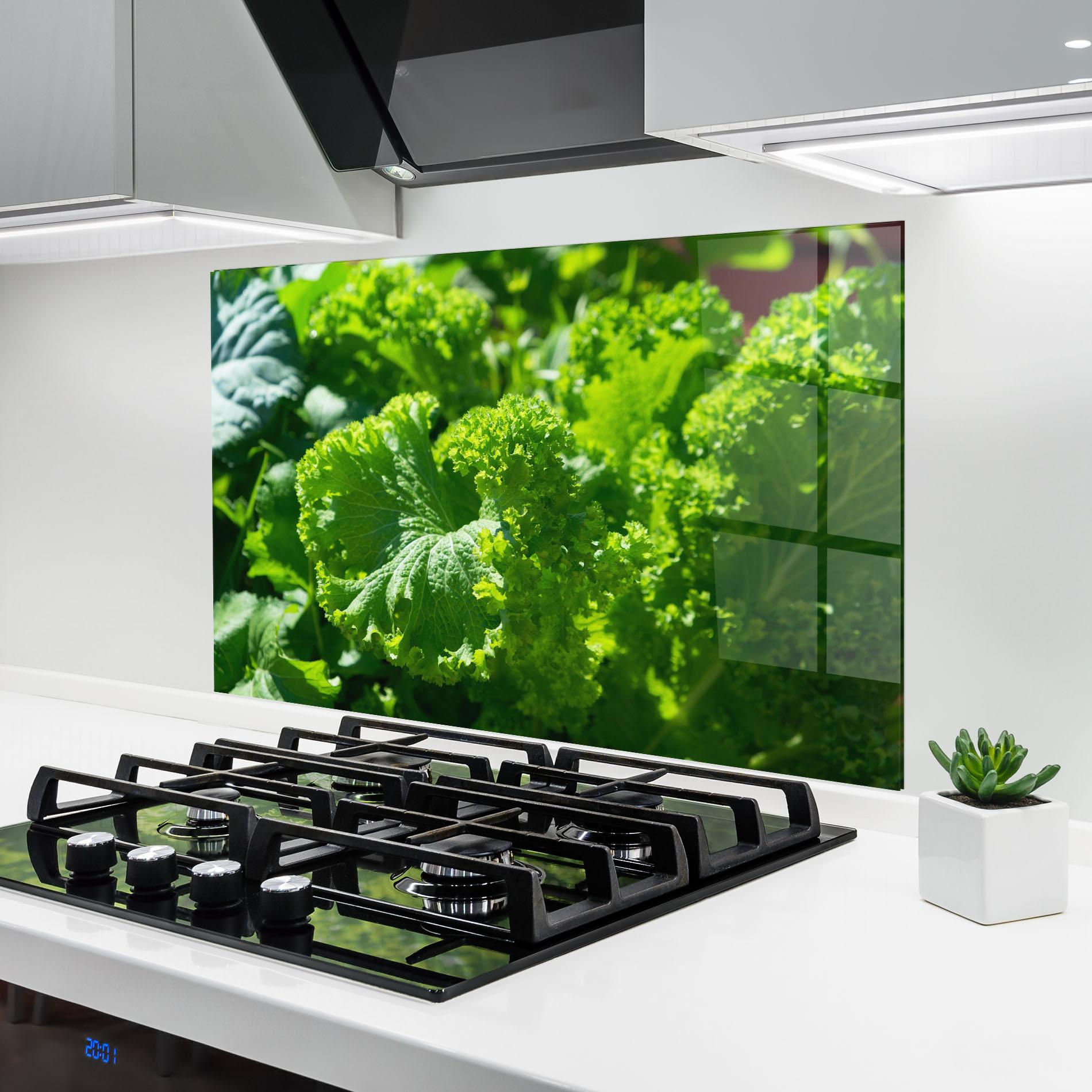 Konyhai üveg hátfal Preetty Green Lettuce mockup 6