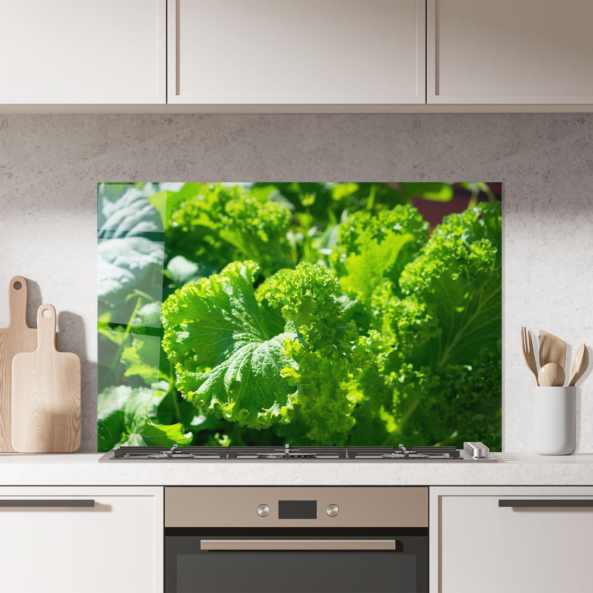 Konyhai üveg hátfal Preetty Green Lettuce mockup 7