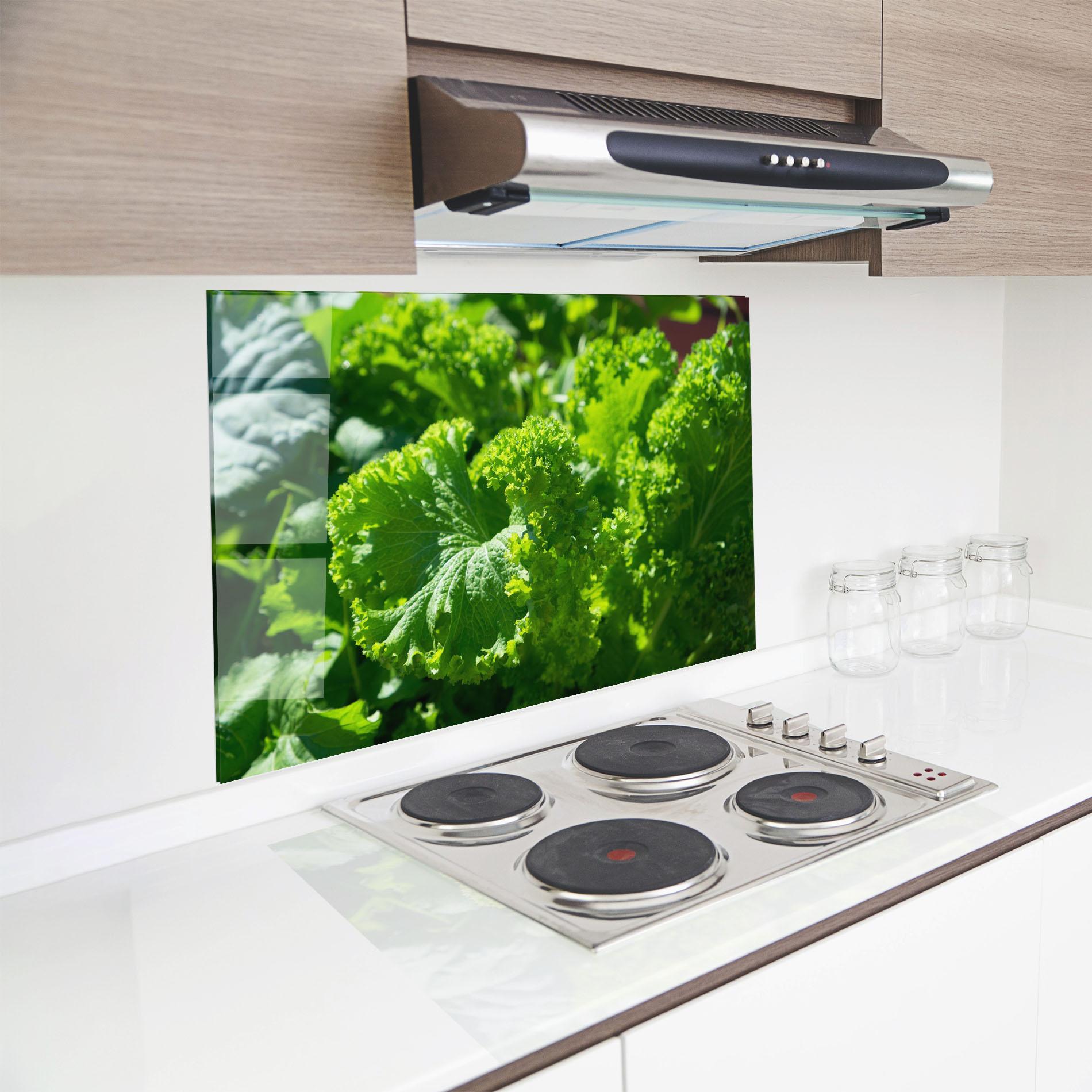 Konyhai üveg hátfal Preetty Green Lettuce mockup 8