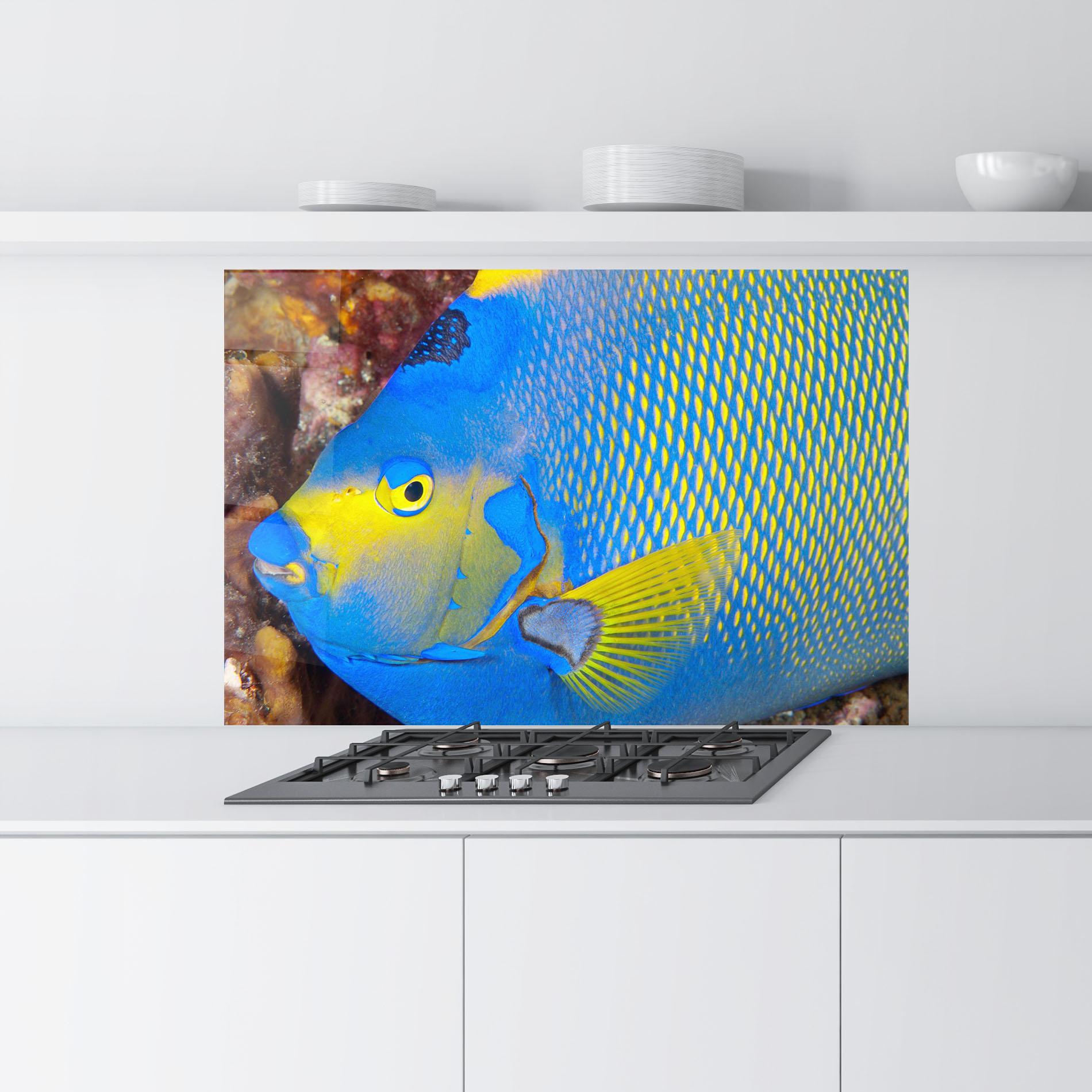 Konyhai üveg hátfal Blue Yellow Fish mockup 9