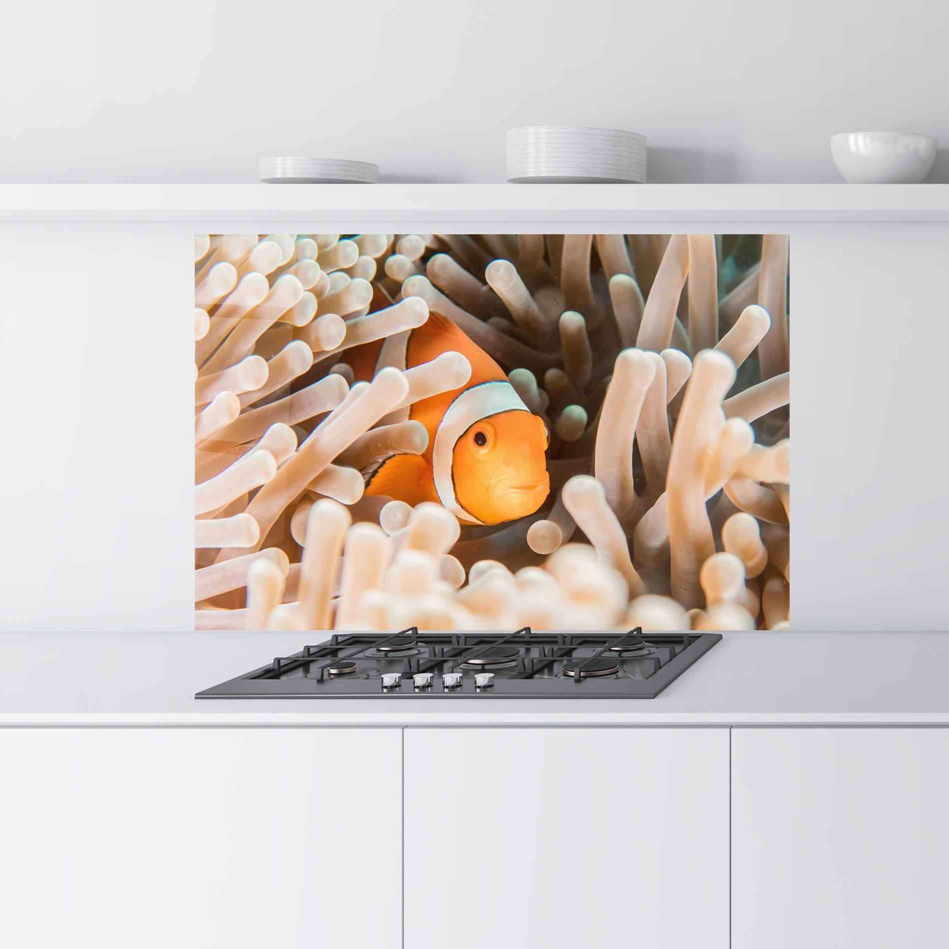 Konyhai üveg hátfal Cute Nemo mockup 9