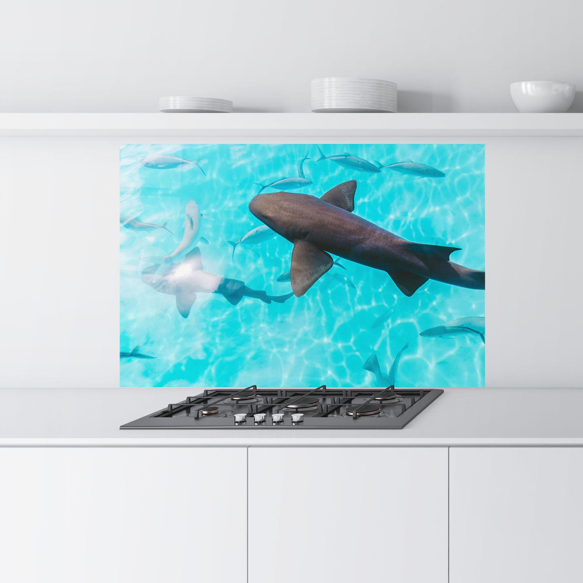 Konyhai üveg hátfal Cute Shark mockup 9