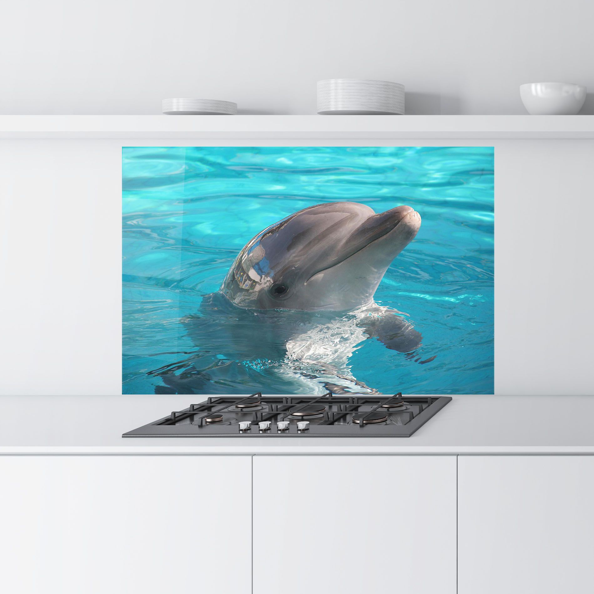 Dolphin Poses mockup 9