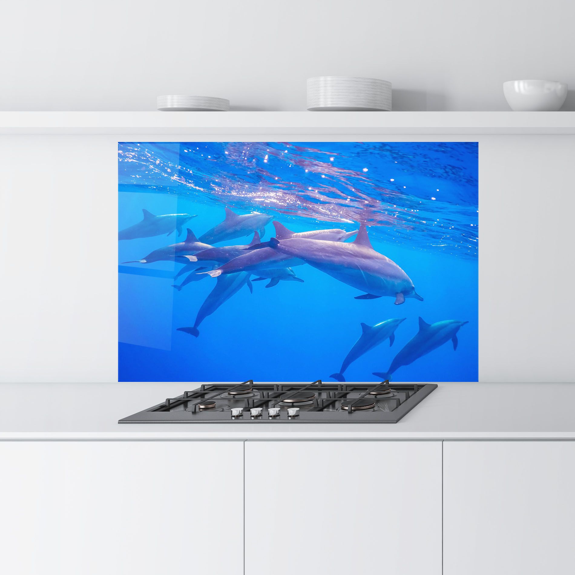 Dolphin Family mockup 9