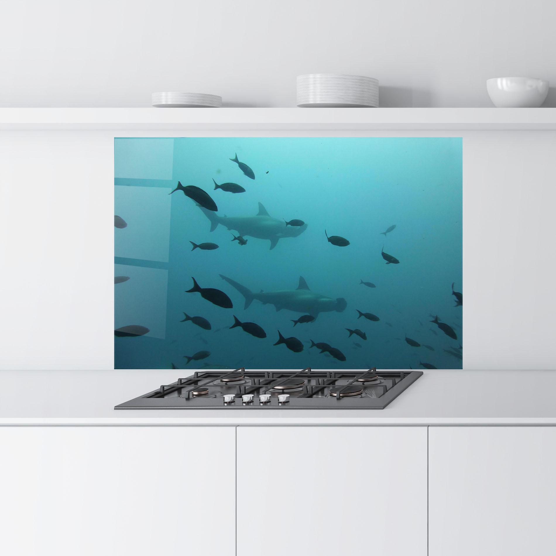 Konyhai üveg hátfal Fish Shilouette mockup 9