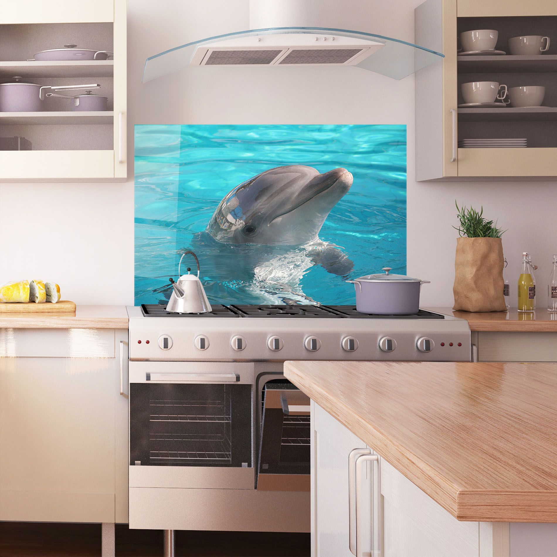 Dolphin Poses mockup 1