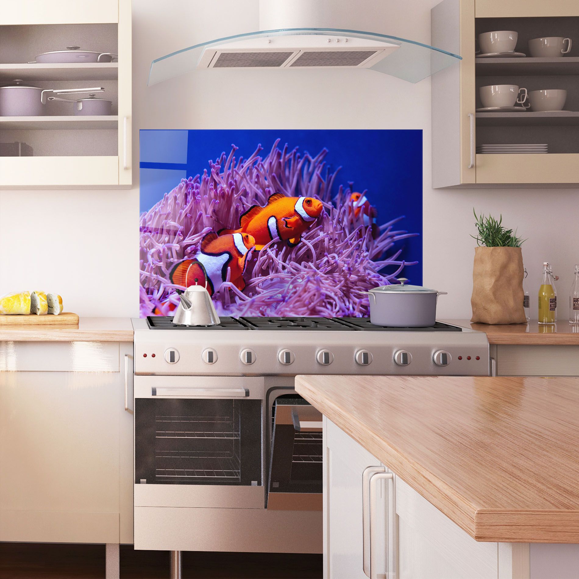 Nemo Family mockup 1