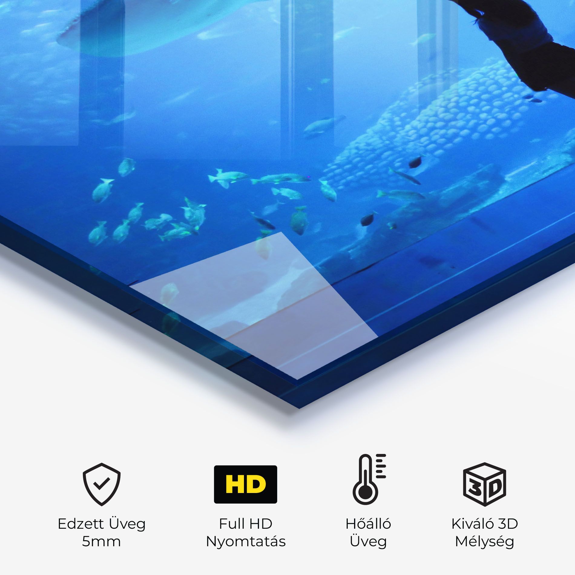 Aquarium Girl mockup 2