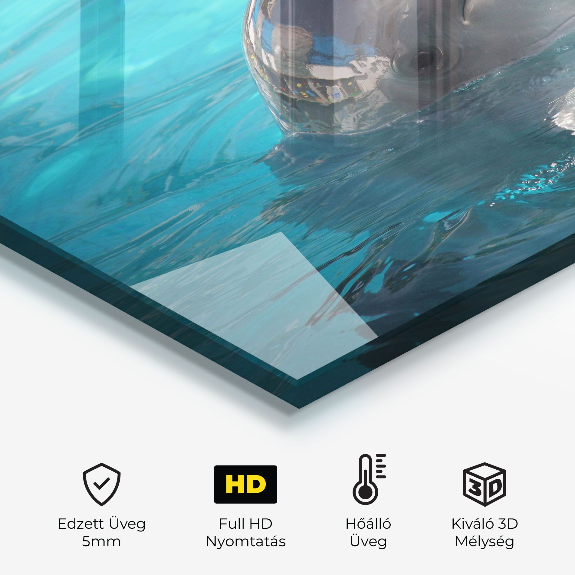 Dolphin Poses mockup 2