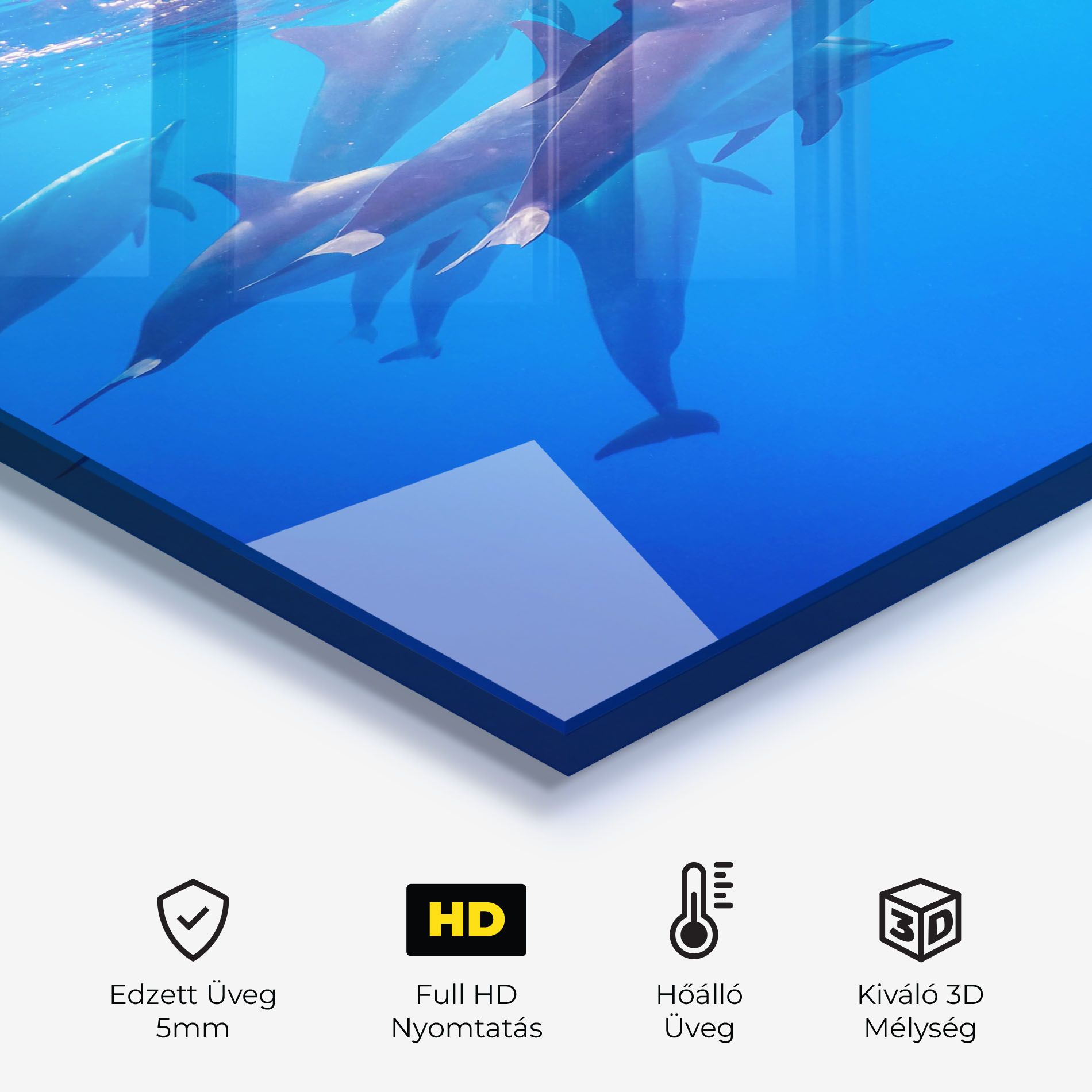 Dolphin Family mockup 2