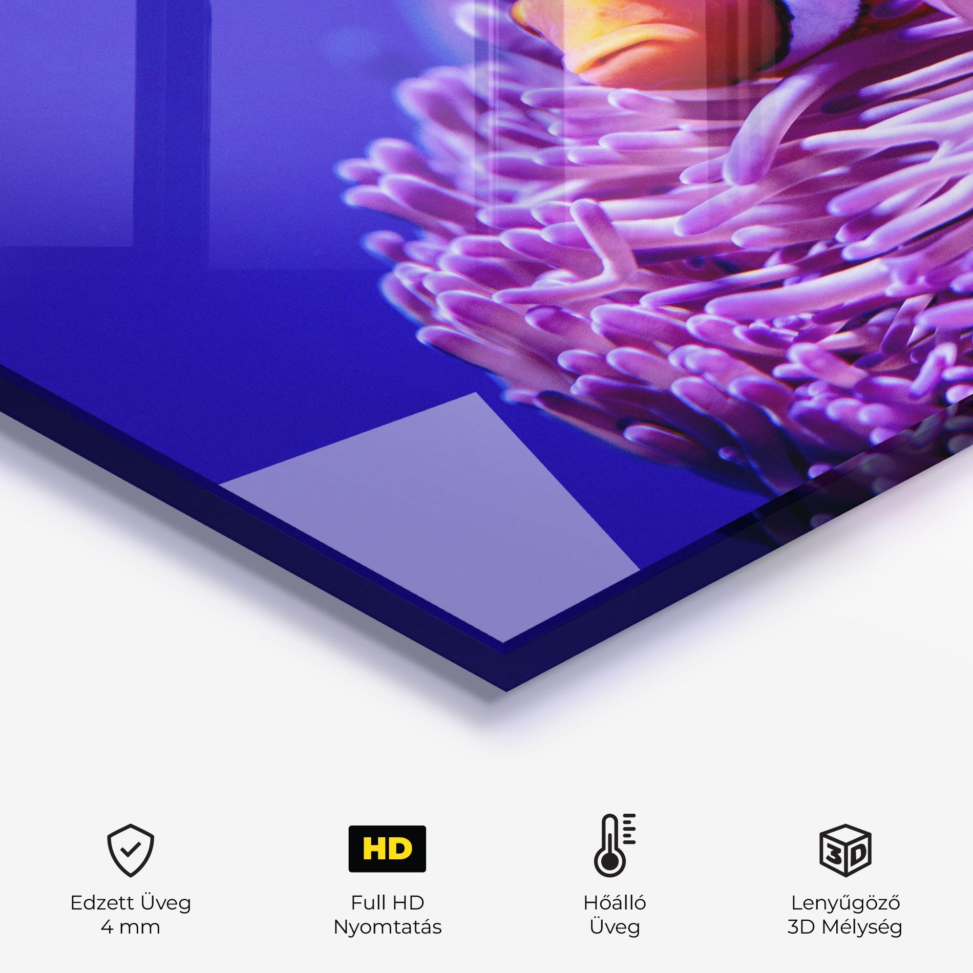 Konyhai üveg hátfal Angry Nemo mockup 2