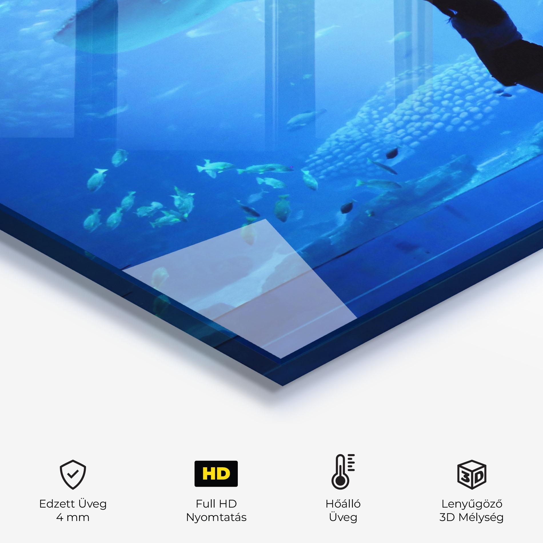 Konyhai üveg hátfal Aquarium Girl mockup 2