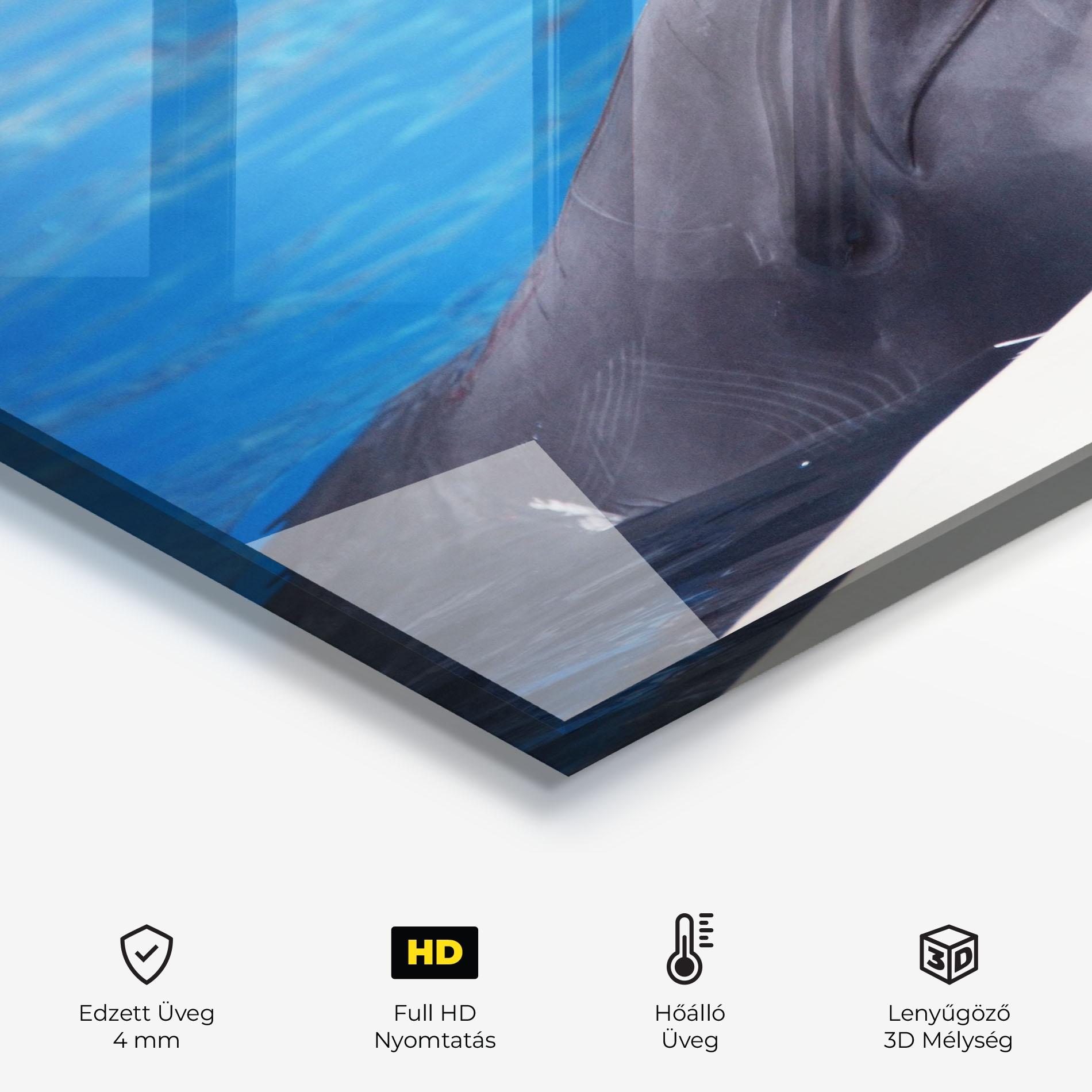 Konyhai üveg hátfal Cute Dolphin mockup 2