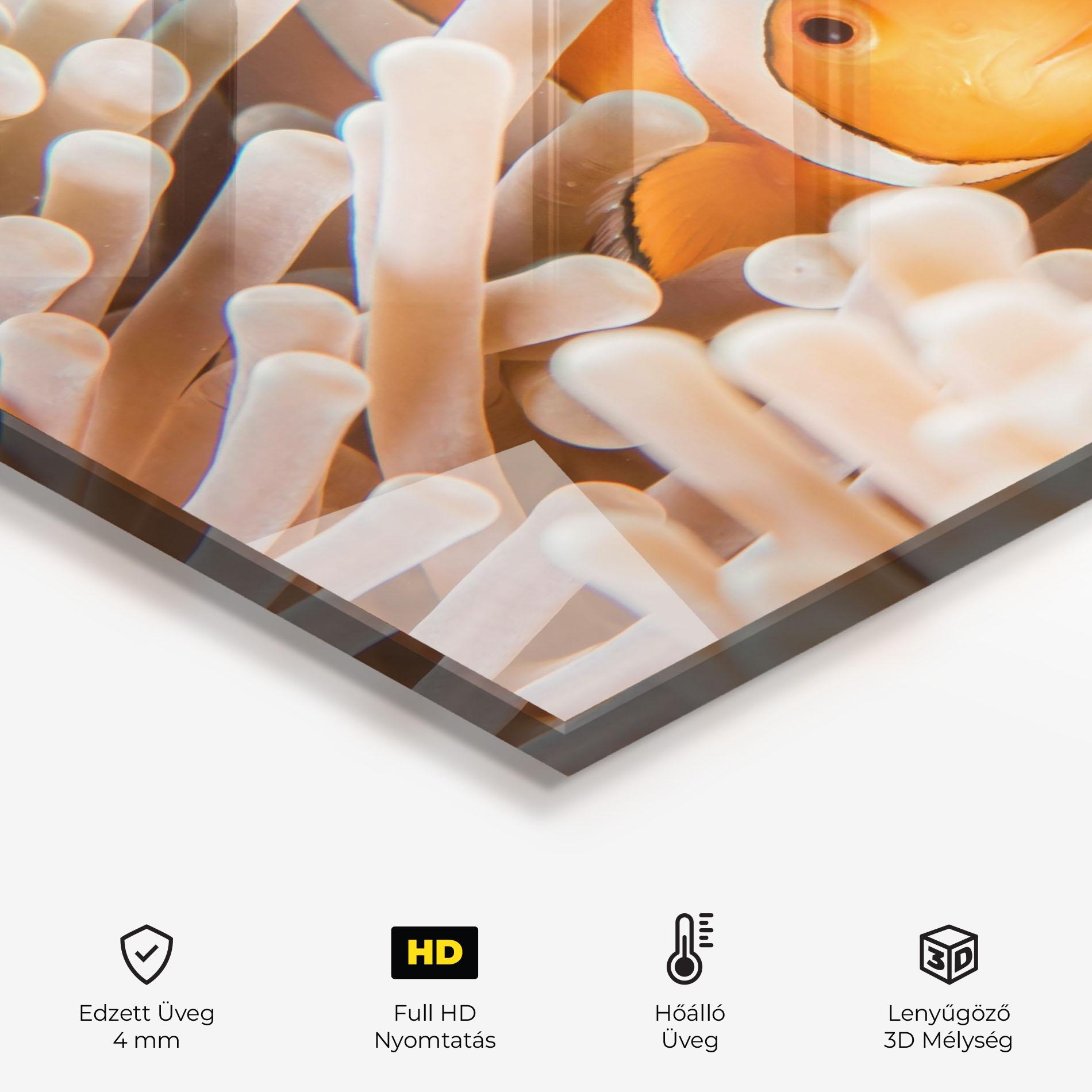 Konyhai üveg hátfal Cute Nemo mockup 2