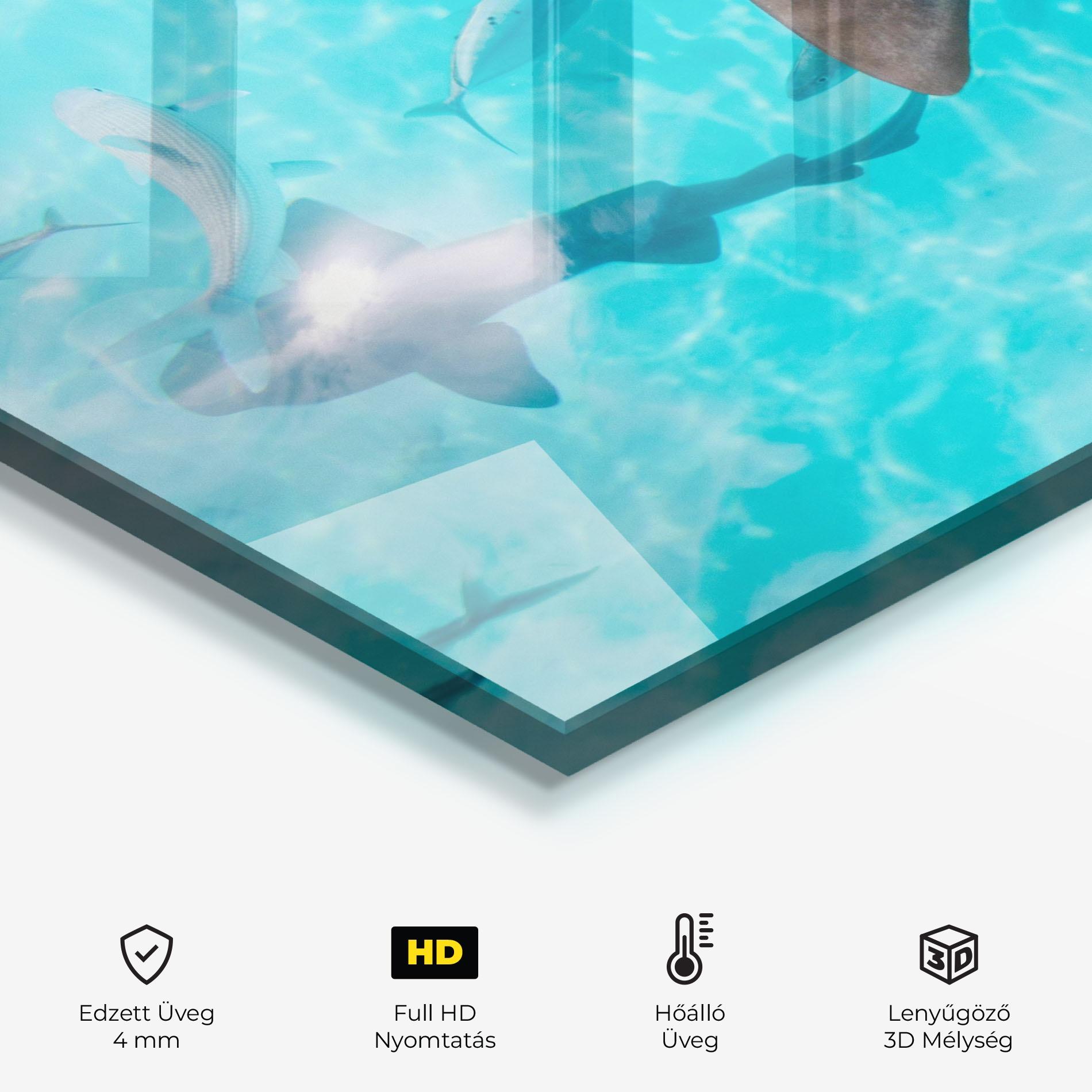 Konyhai üveg hátfal Cute Shark mockup 2