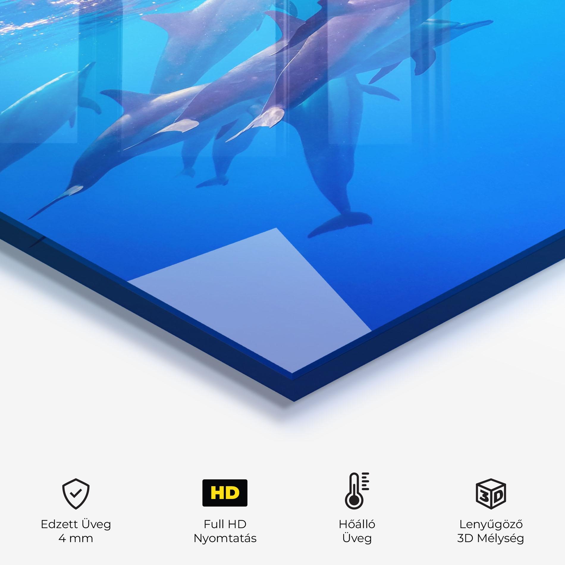 Konyhai üveg hátfal Dolphin Family mockup 2