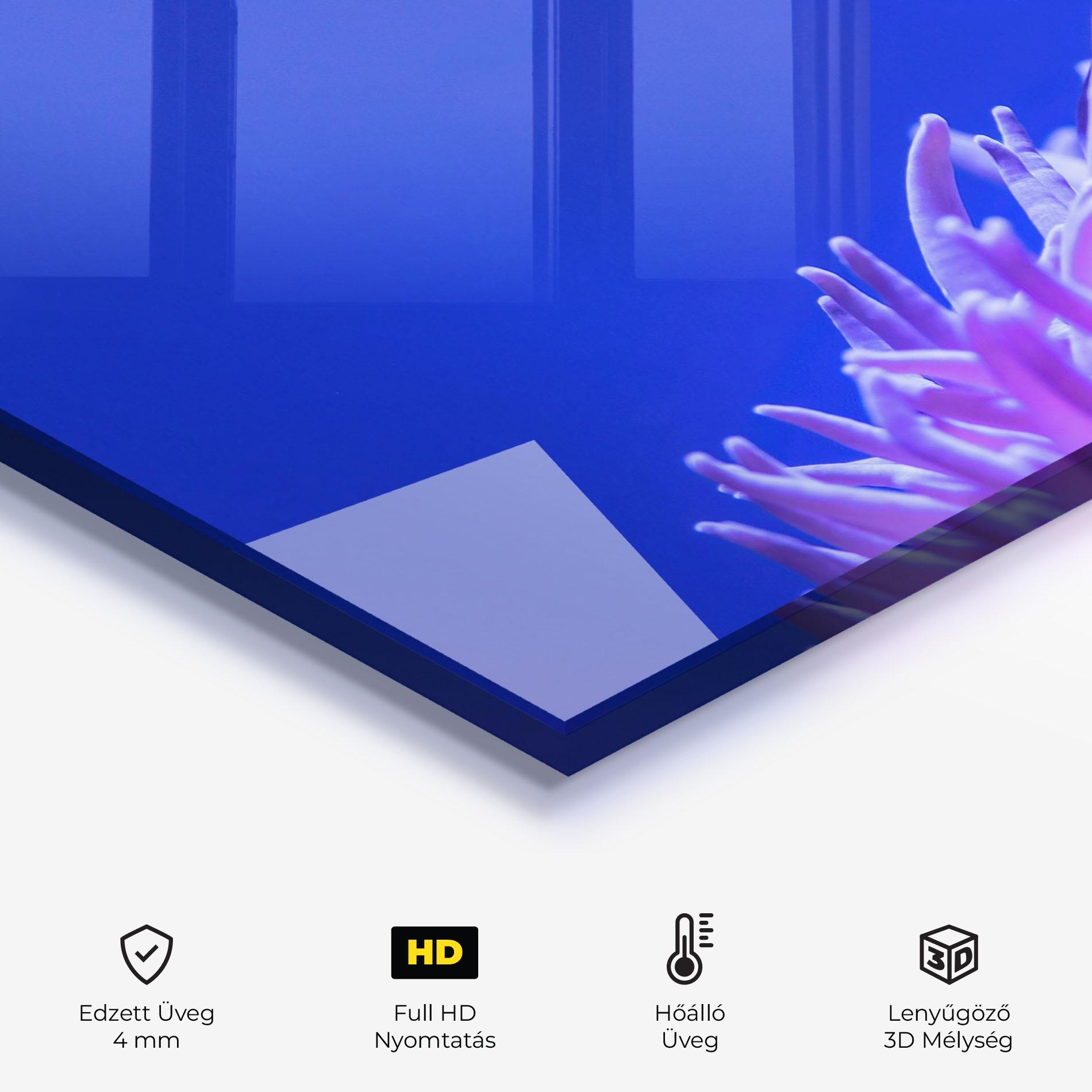 Konyhai üveg hátfal Hungry Nemo mockup 2