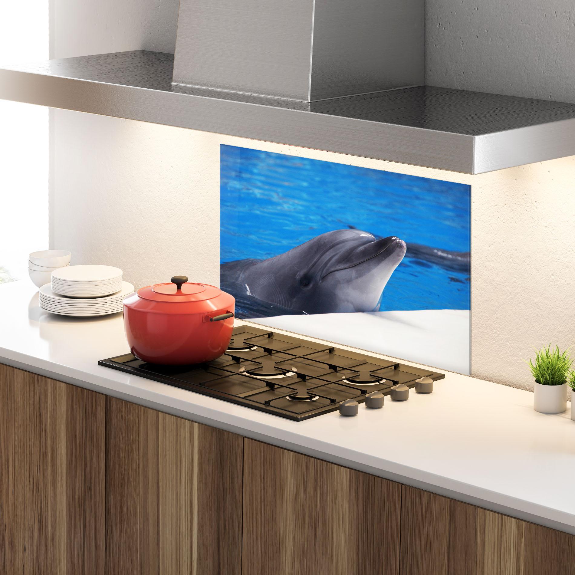 Konyhai üveg hátfal Cute Dolphin mockup 4