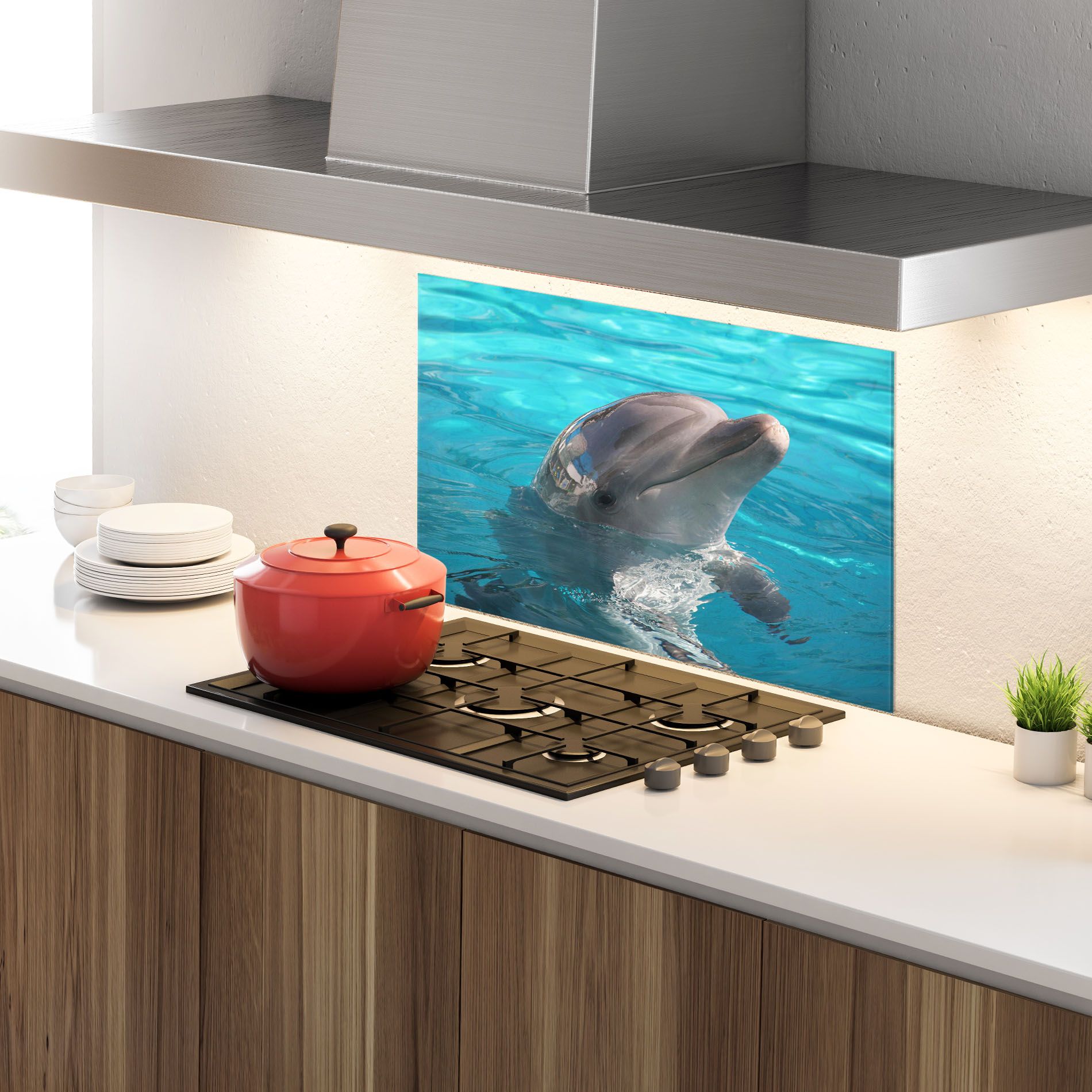 Dolphin Poses mockup 4