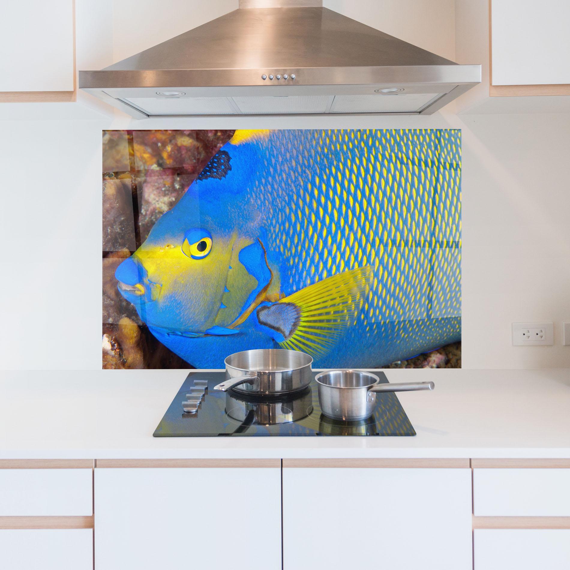 Konyhai üveg hátfal Blue Yellow Fish mockup 5