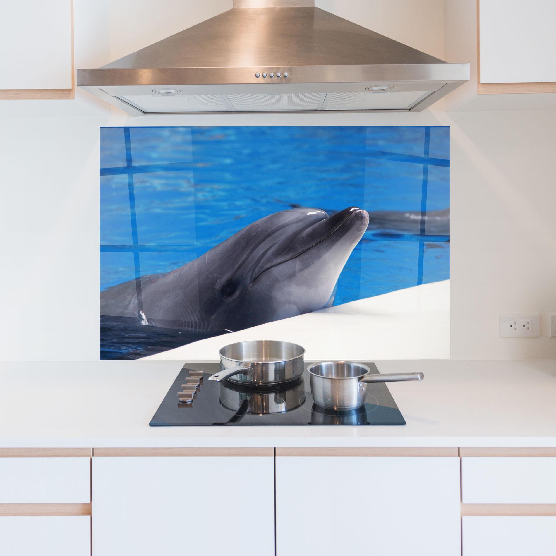 Konyhai üveg hátfal Cute Dolphin mockup 5