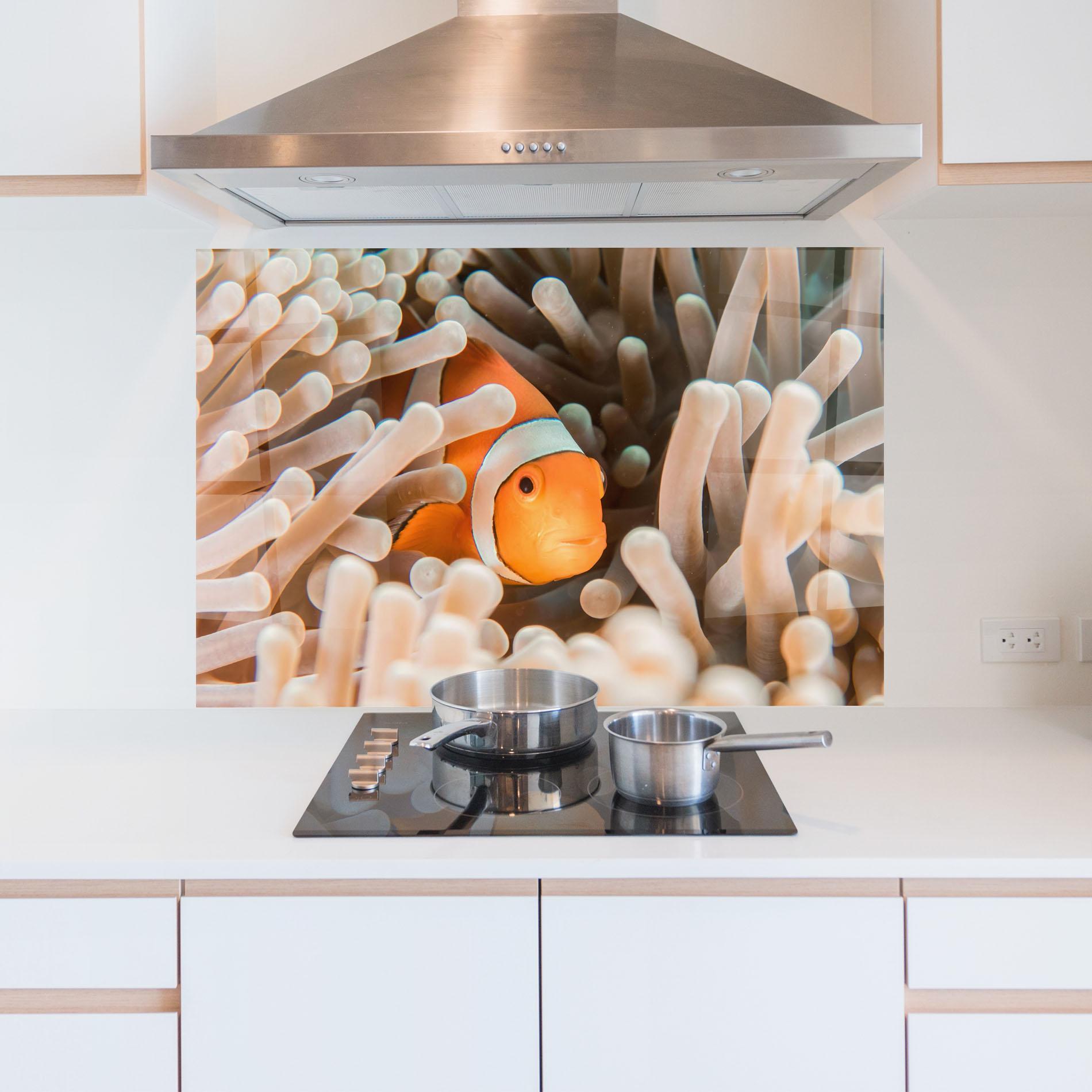 Konyhai üveg hátfal Cute Nemo mockup 5