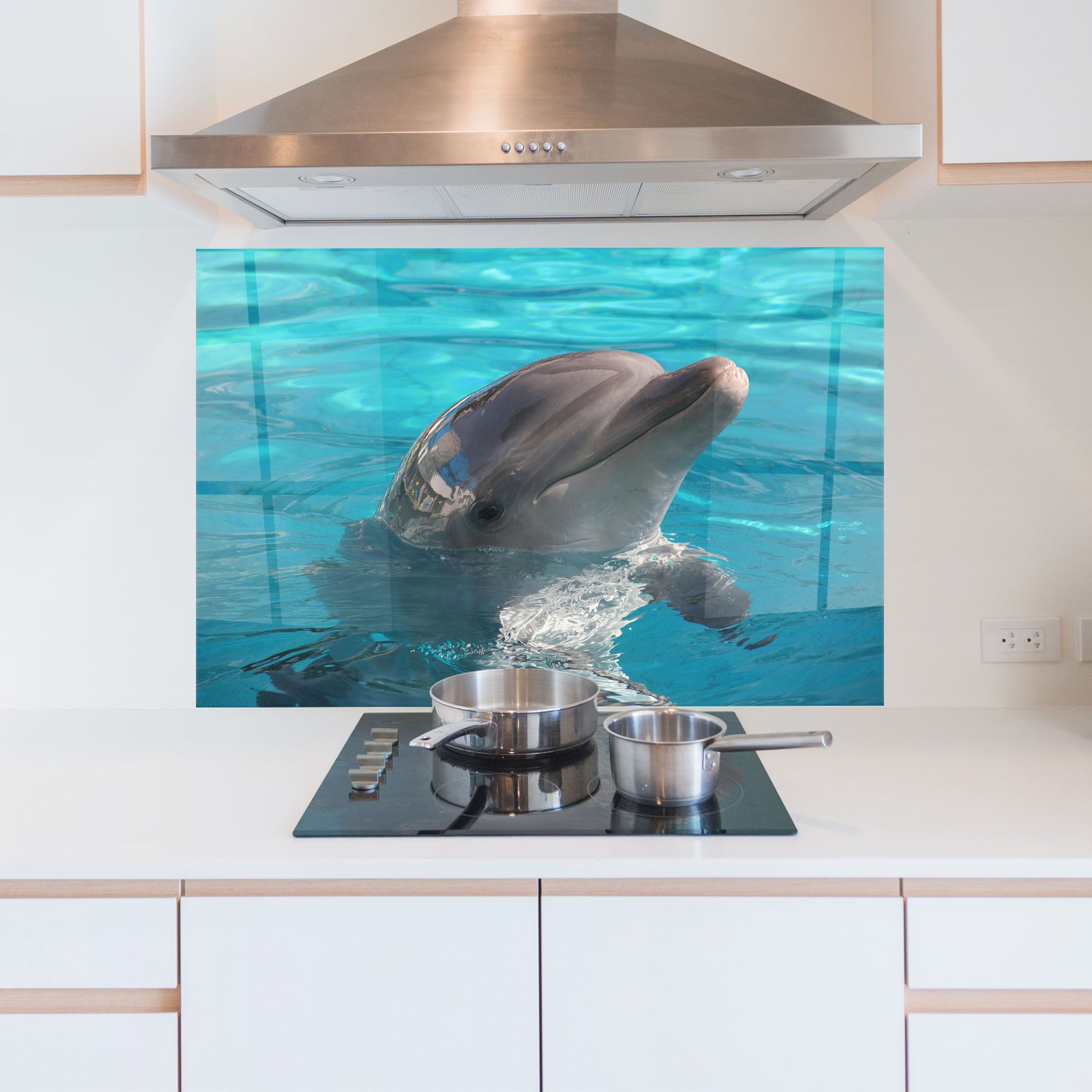 Dolphin Poses mockup 5
