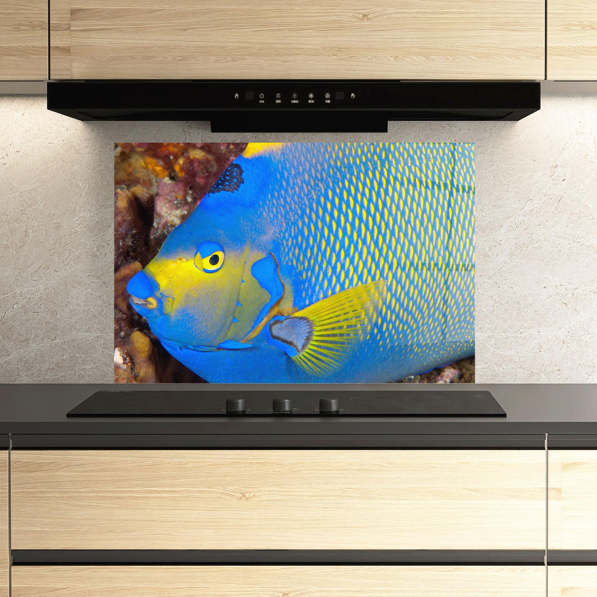 Konyhai üveg hátfal Blue Yellow Fish mockup 3