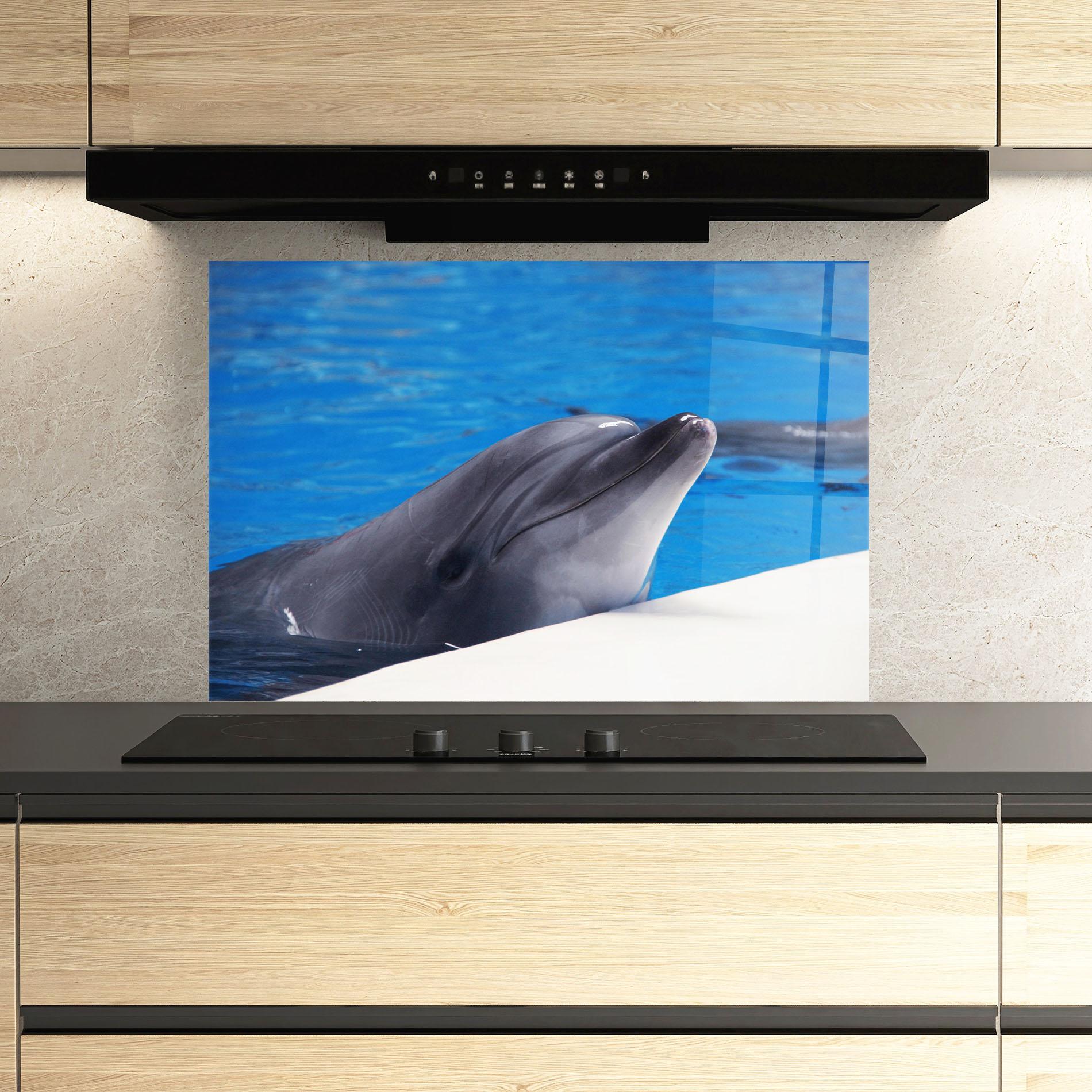 Konyhai üveg hátfal Cute Dolphin mockup 3