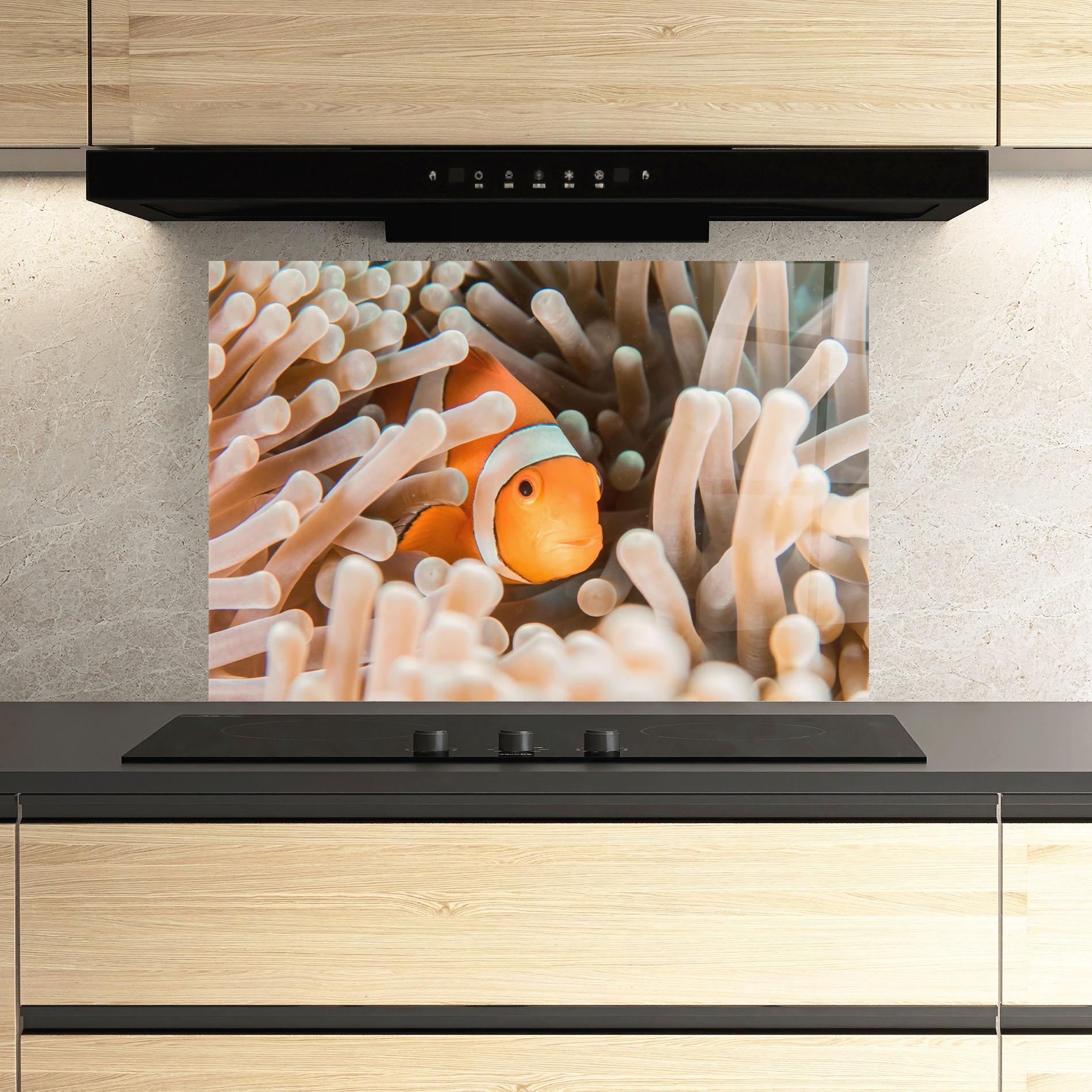 Konyhai üveg hátfal Cute Nemo mockup 3