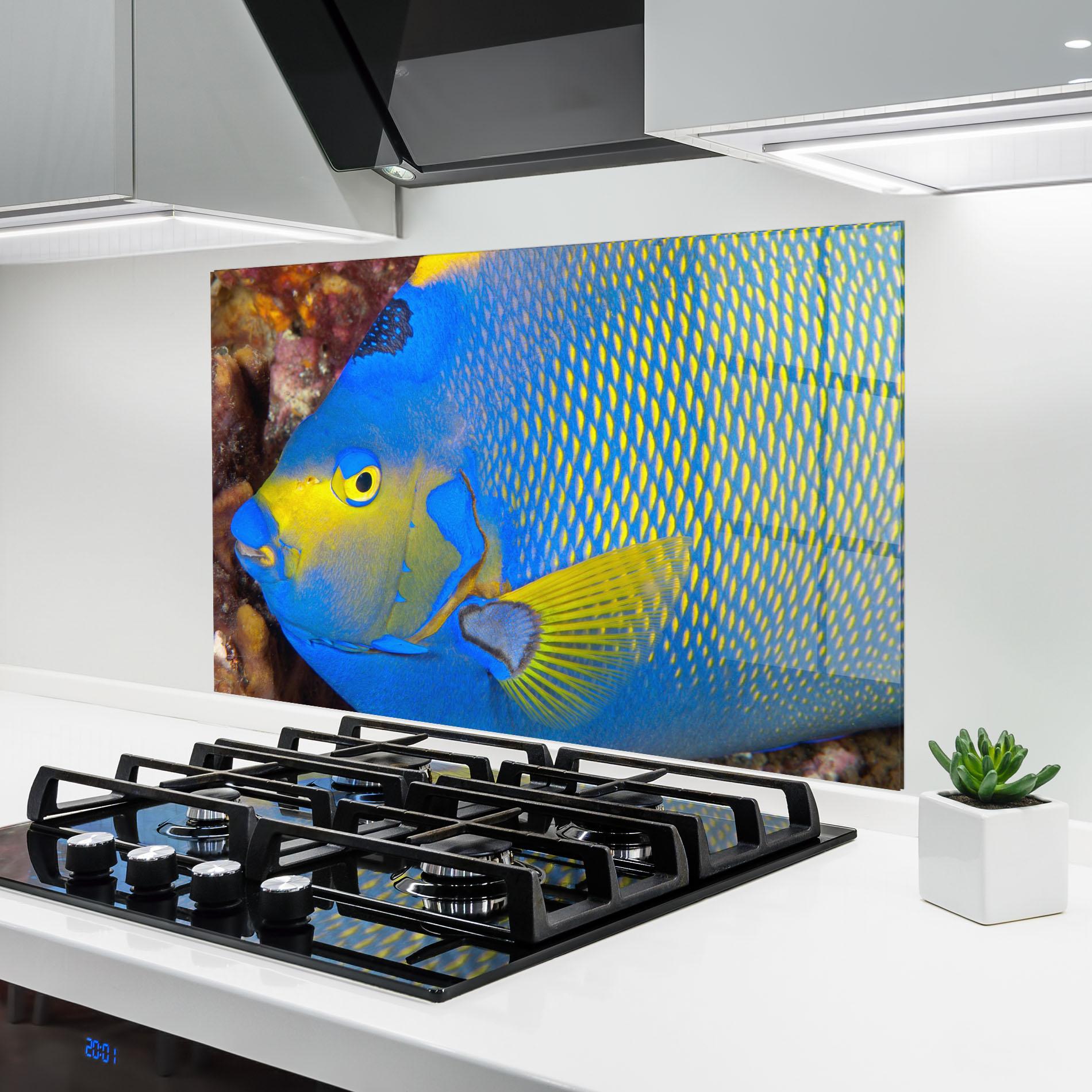 Konyhai üveg hátfal Blue Yellow Fish mockup 6