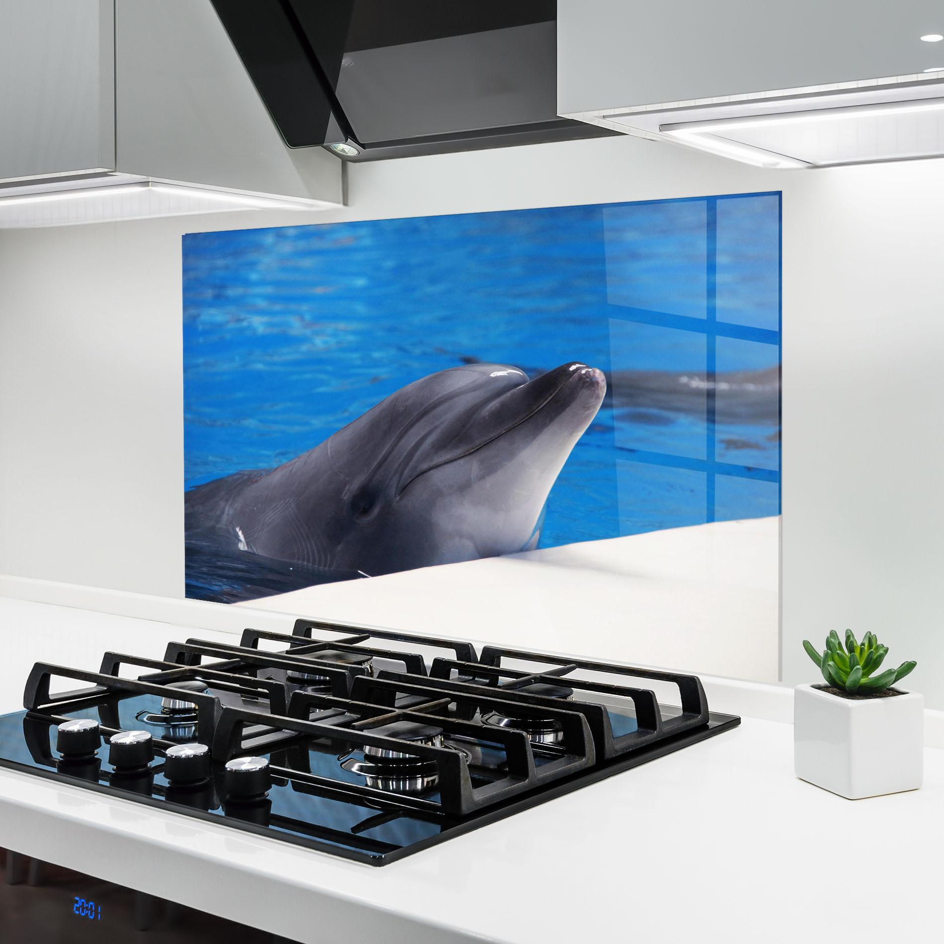 Konyhai üveg hátfal Cute Dolphin mockup 6