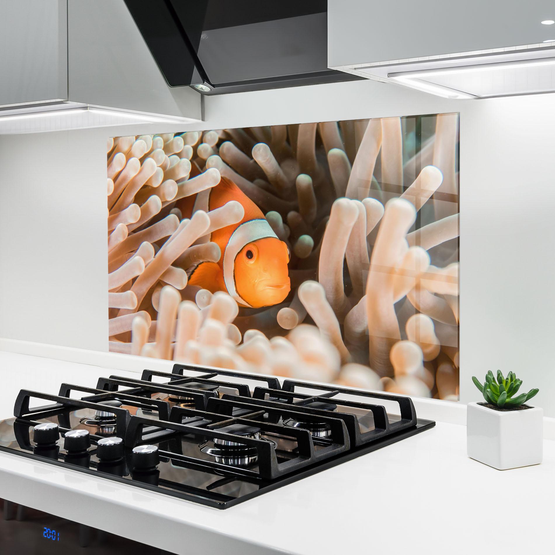 Konyhai üveg hátfal Cute Nemo mockup 6