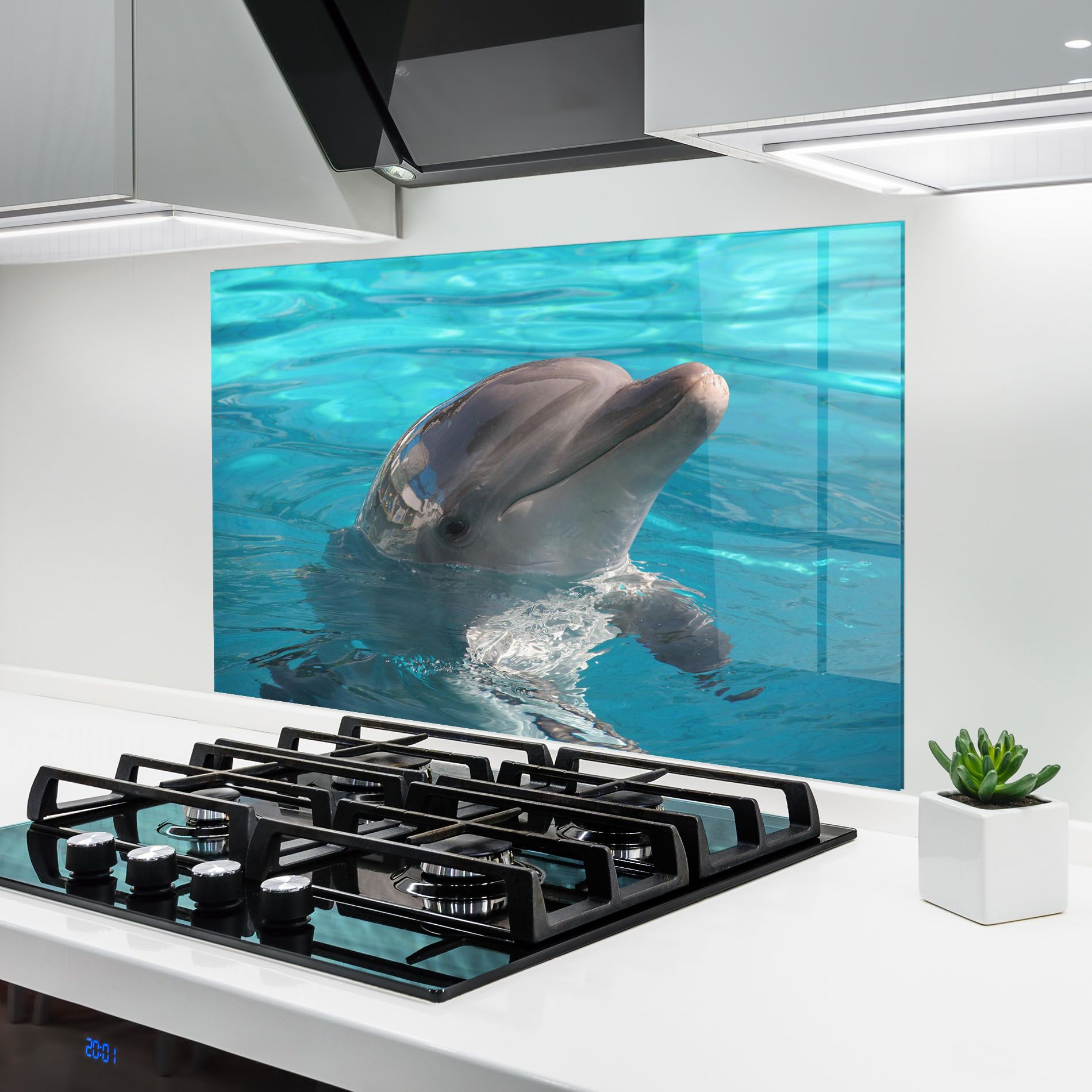 Dolphin Poses mockup 6