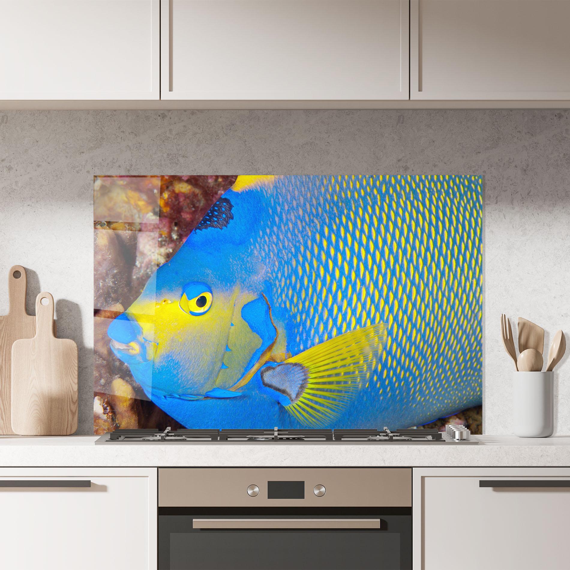 Konyhai üveg hátfal Blue Yellow Fish mockup 7