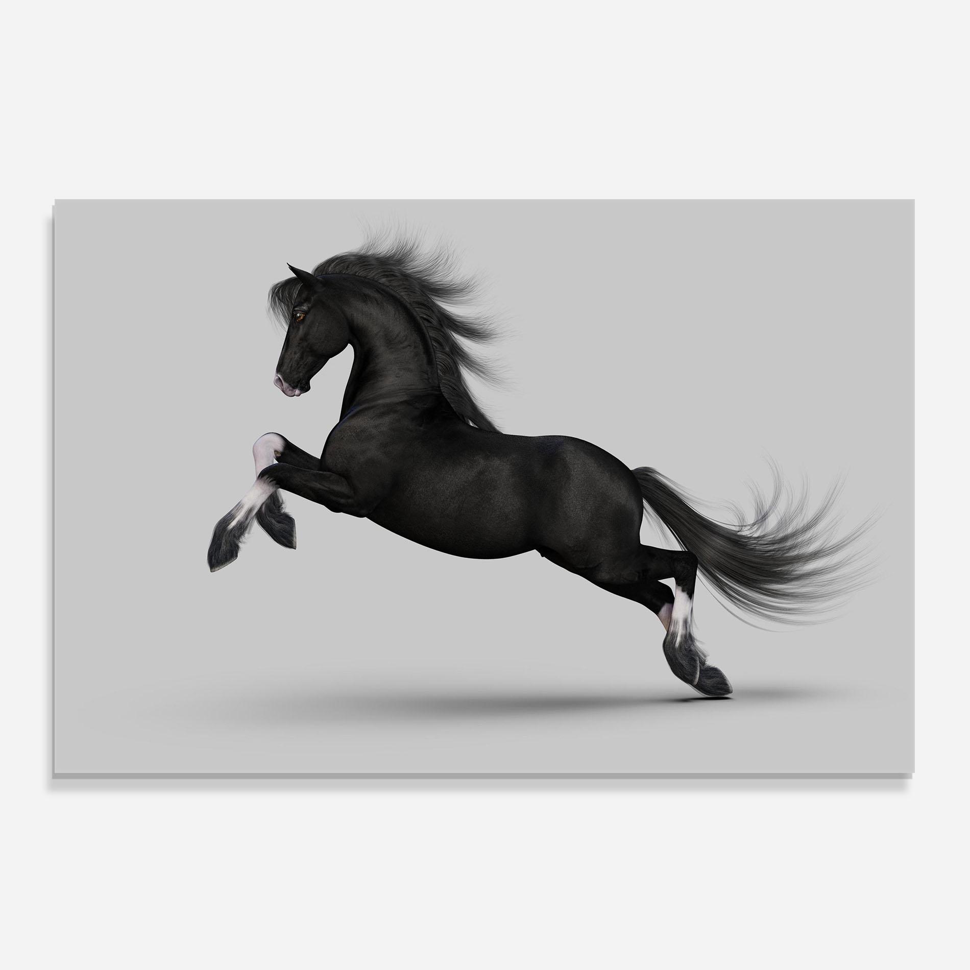Konyhai üveg hátfal Black Horse Galloping mockup 0
