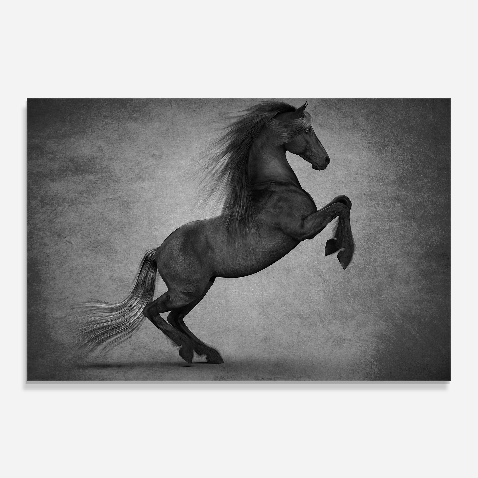 Black Horse Jumping mockup 0